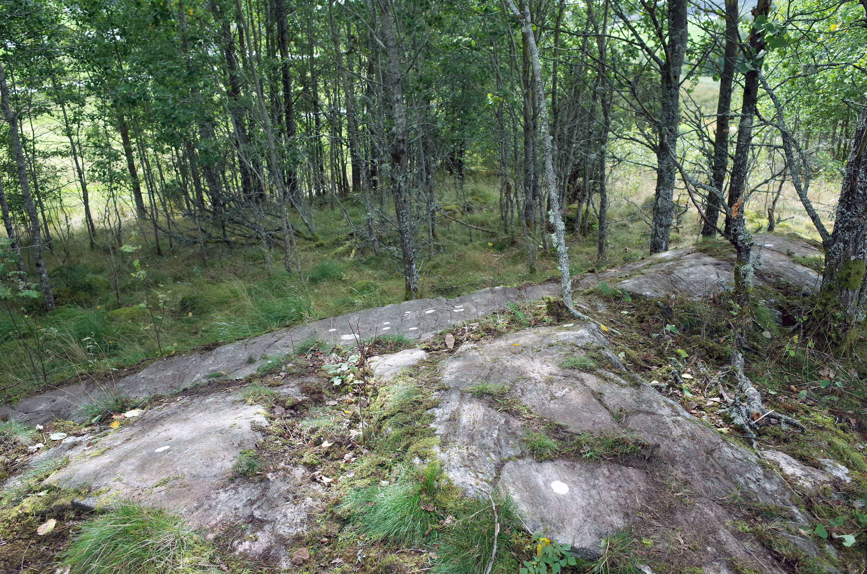 Östad Gullhögen Naverstad