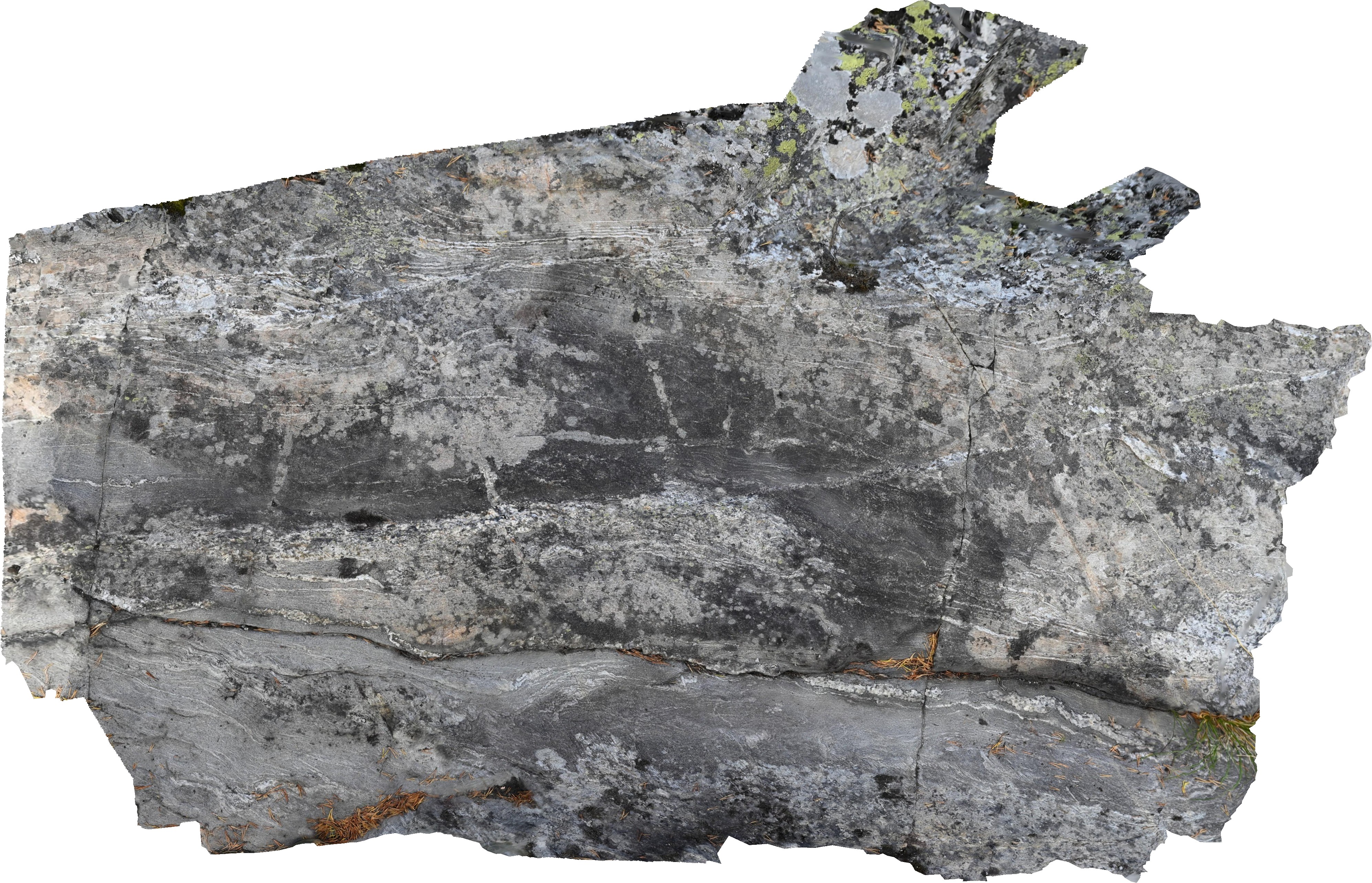 Nämforsen Notön C3