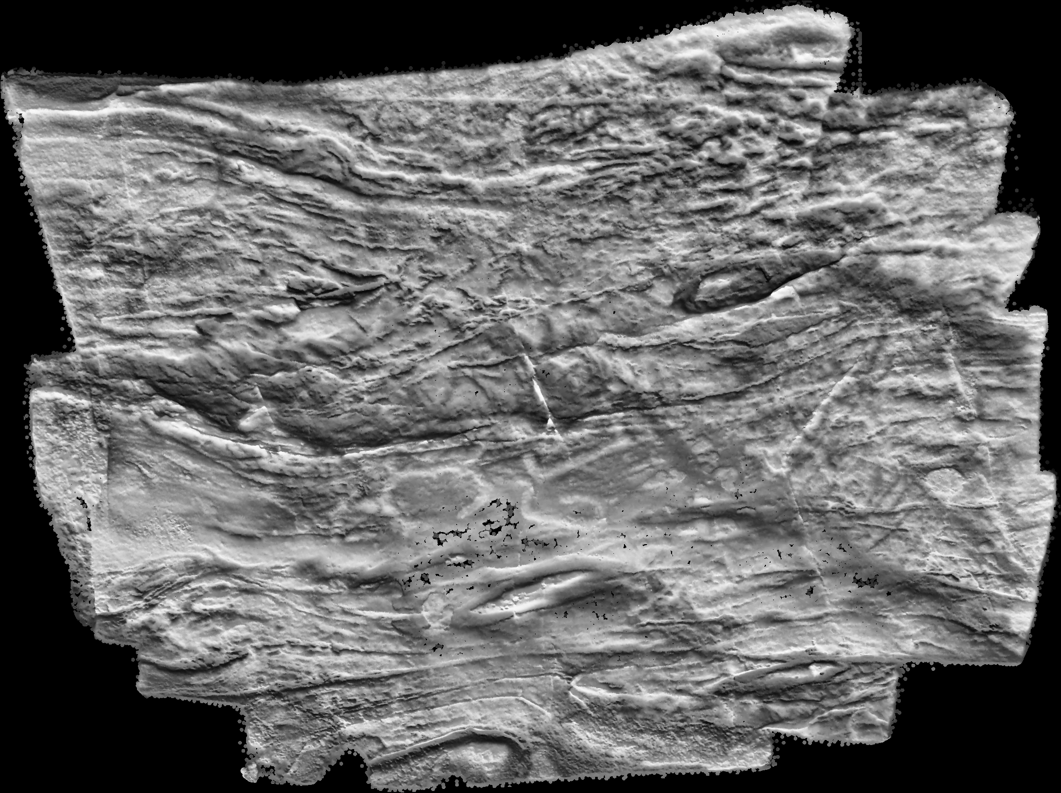 Nämforsen Notön D2 D3