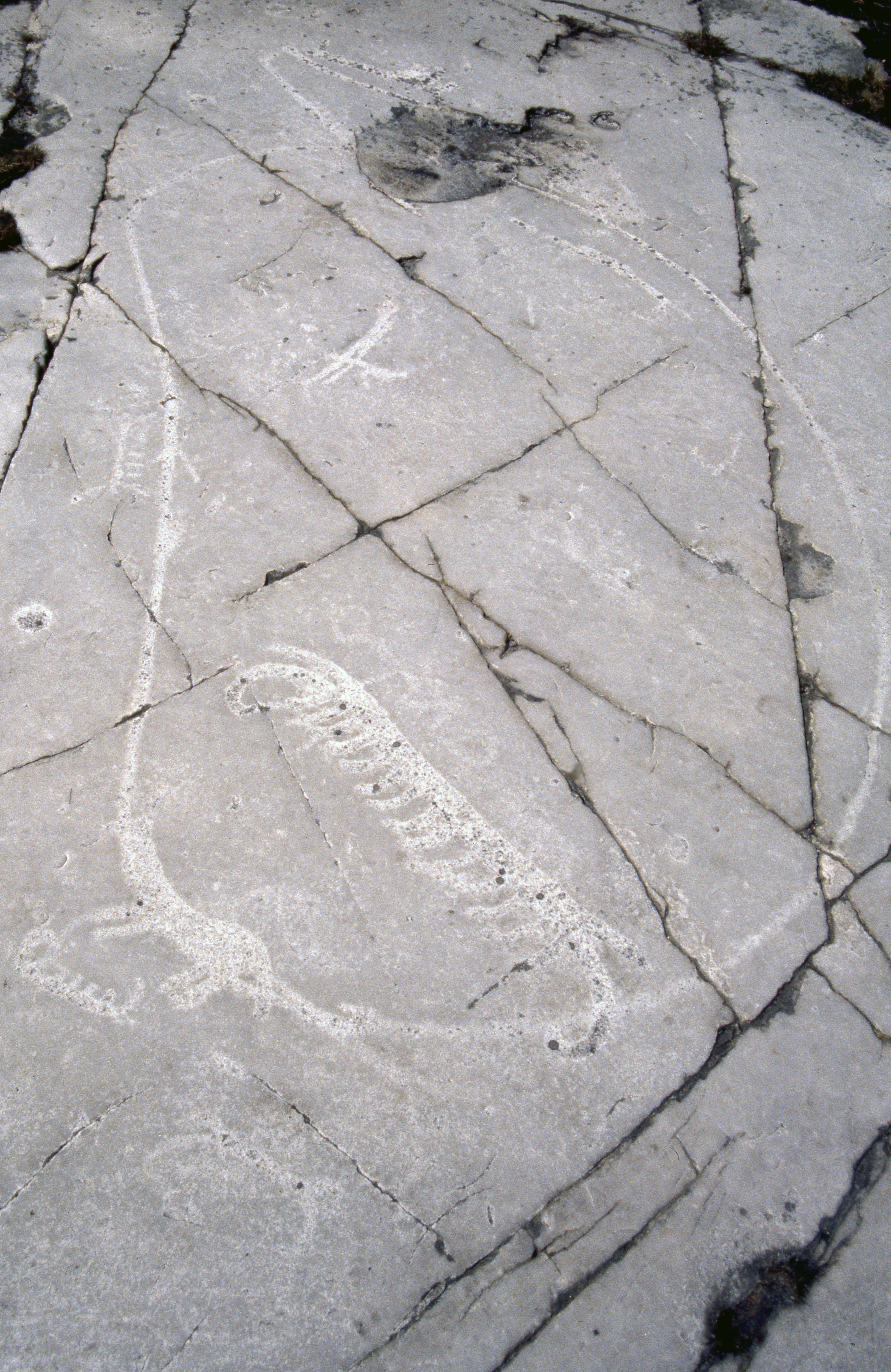 Simrislund Simrishamn