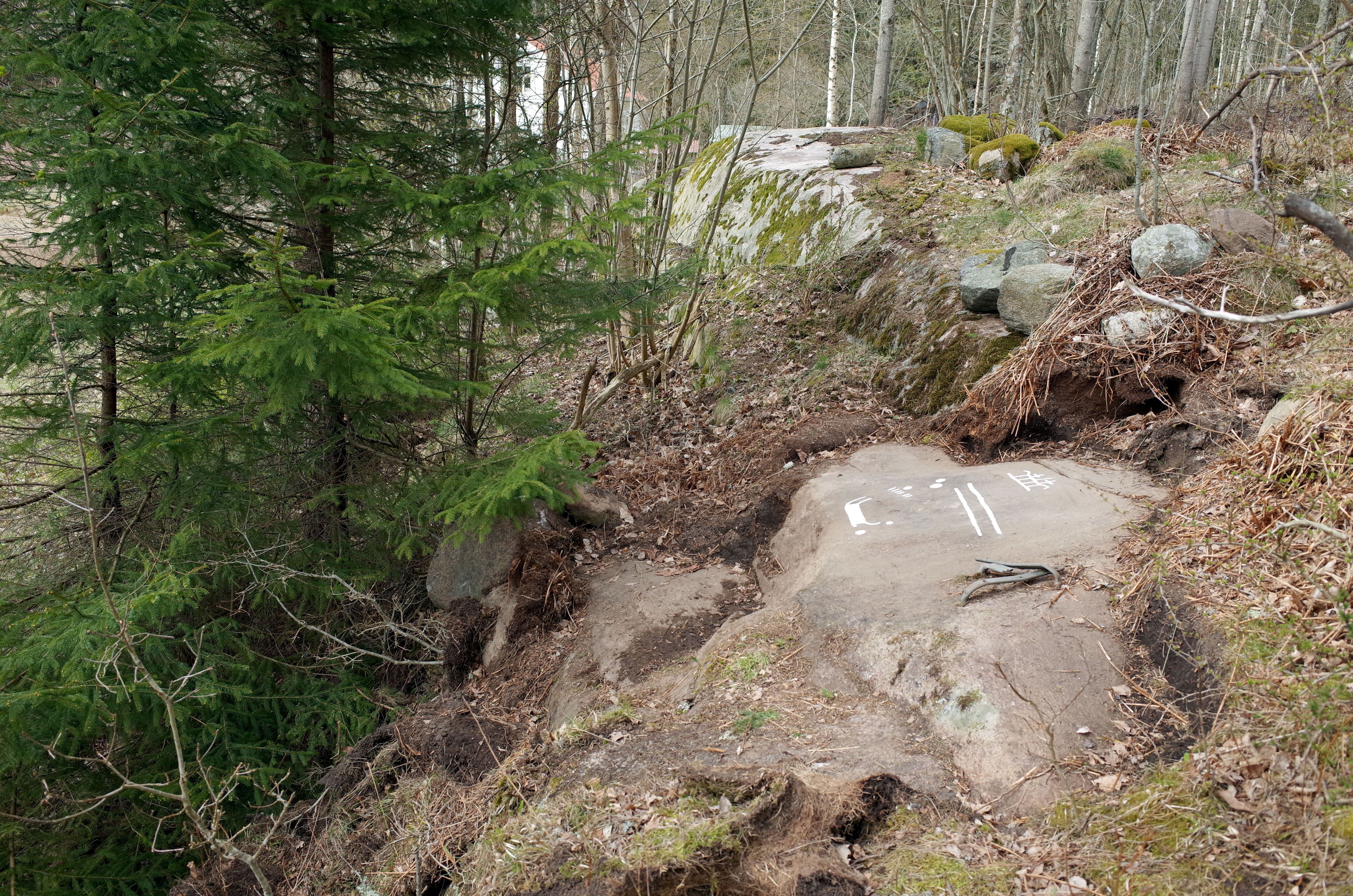 Solbräcke Tanum