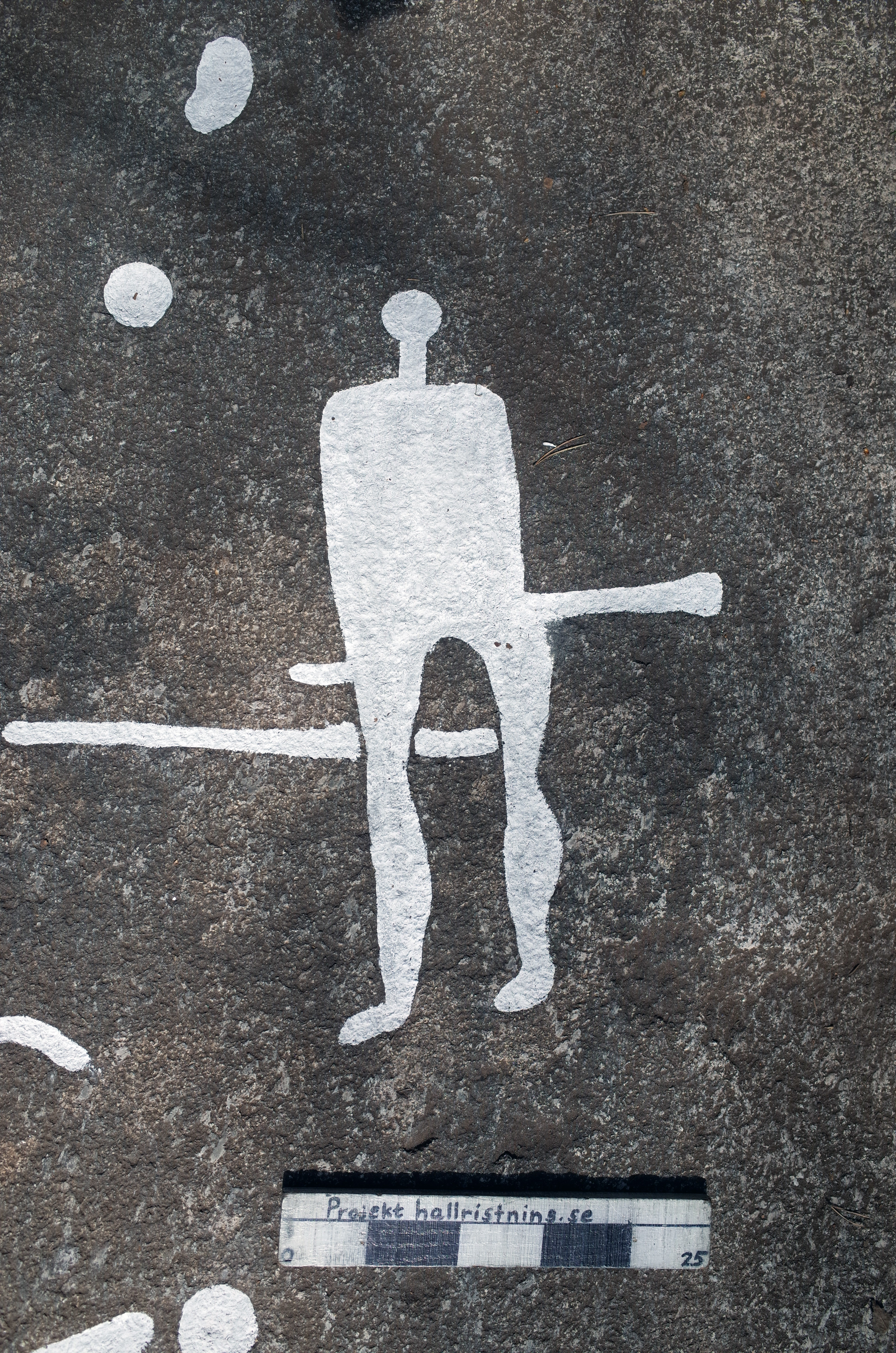 Arendal Ekelid Tanum