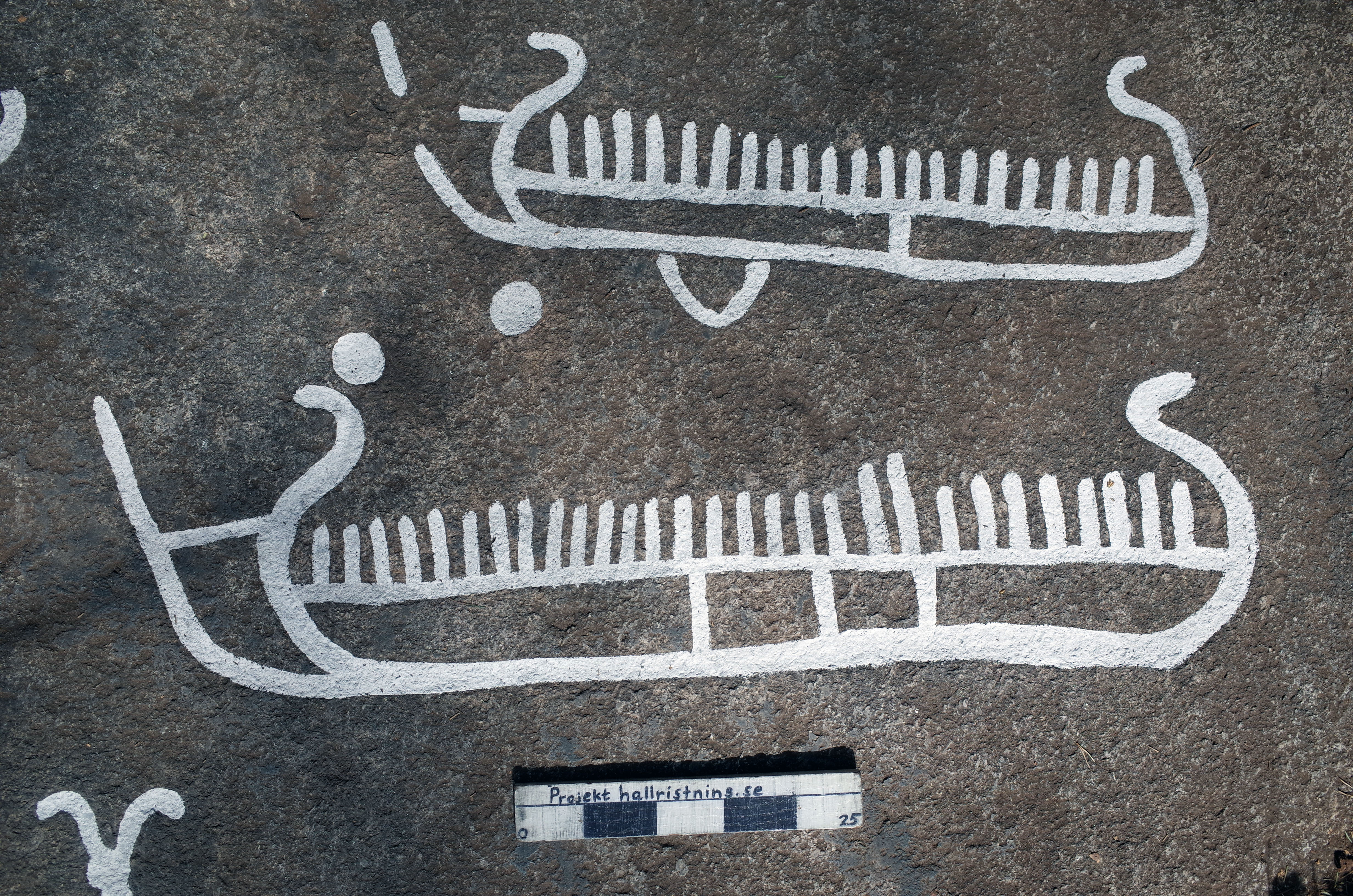 Arendal Ekelid Tanum