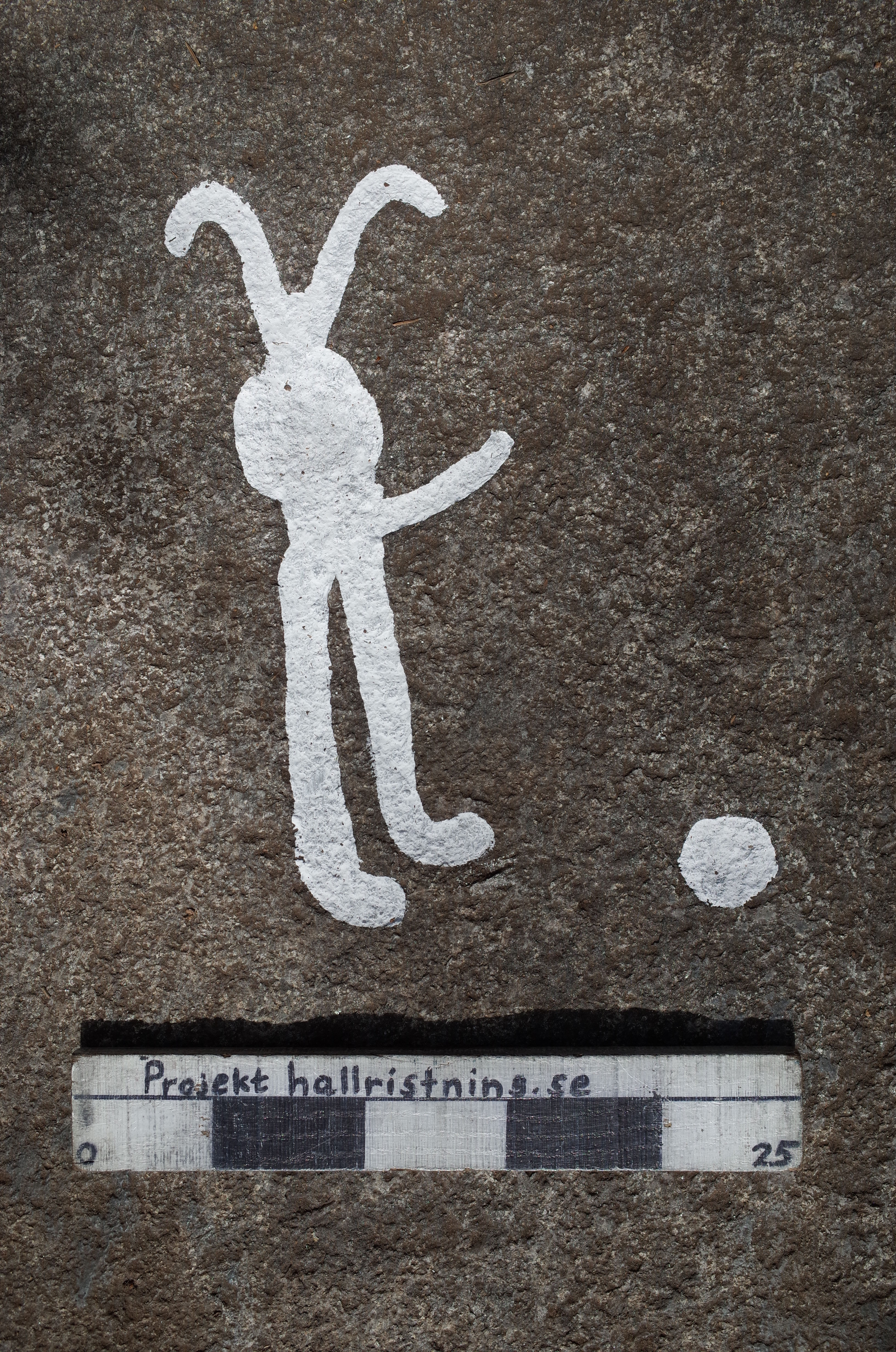 Arendal Ekelid Tanum