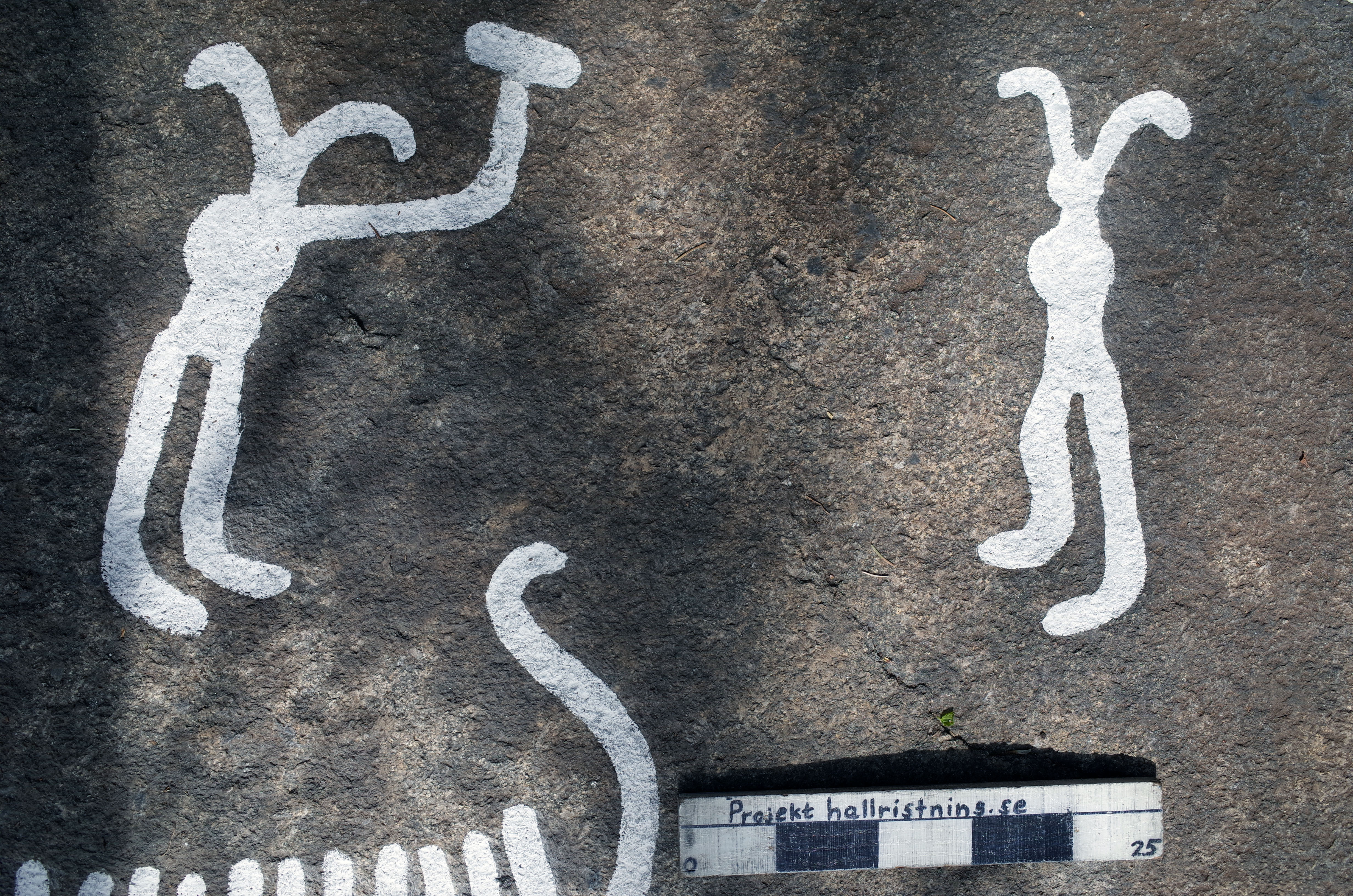 Arendal Ekelid Tanum