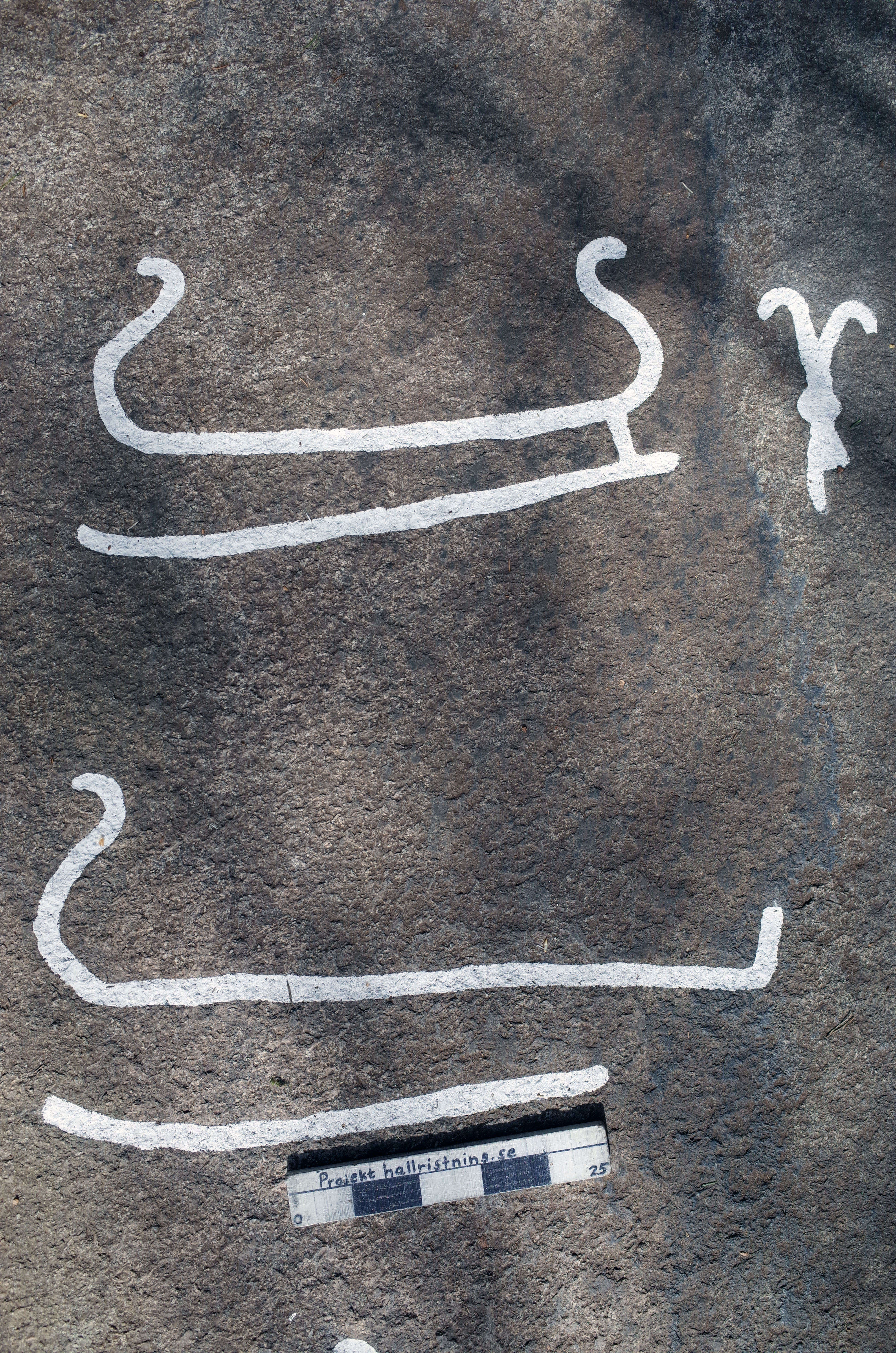 Arendal Ekelid Tanum