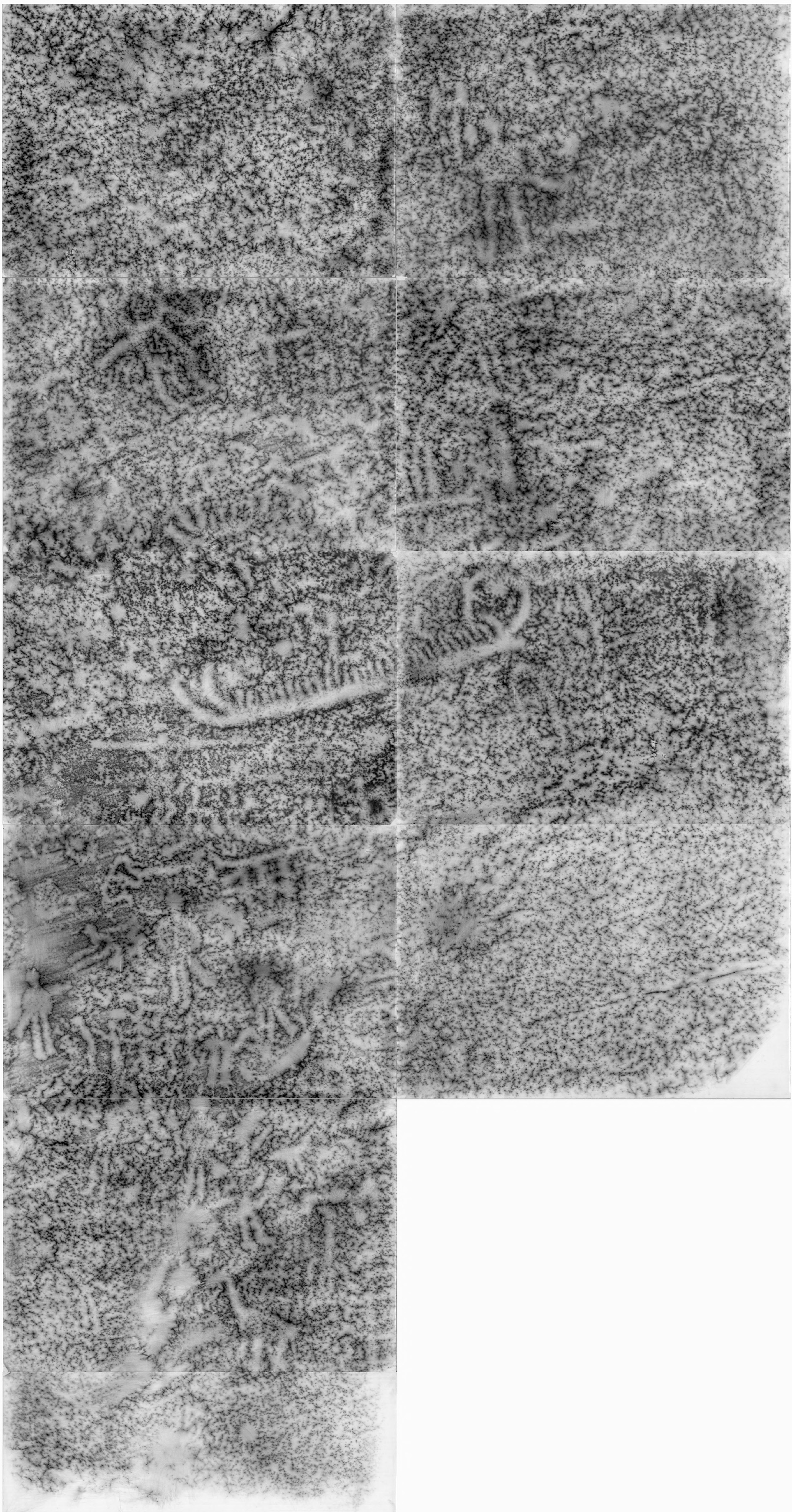 Arendal Ekelid Tanum