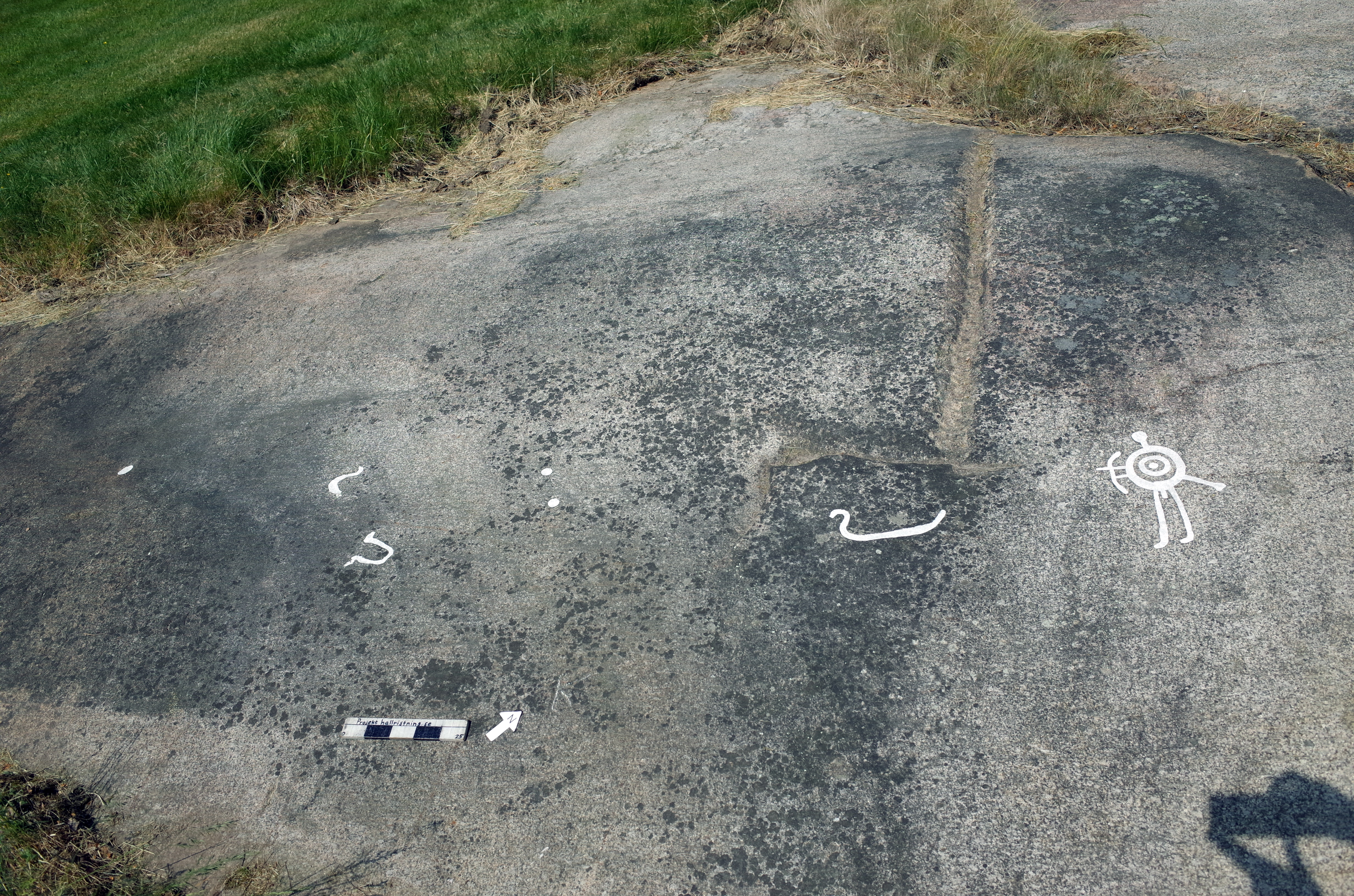 Arendal Hedarna Tanum