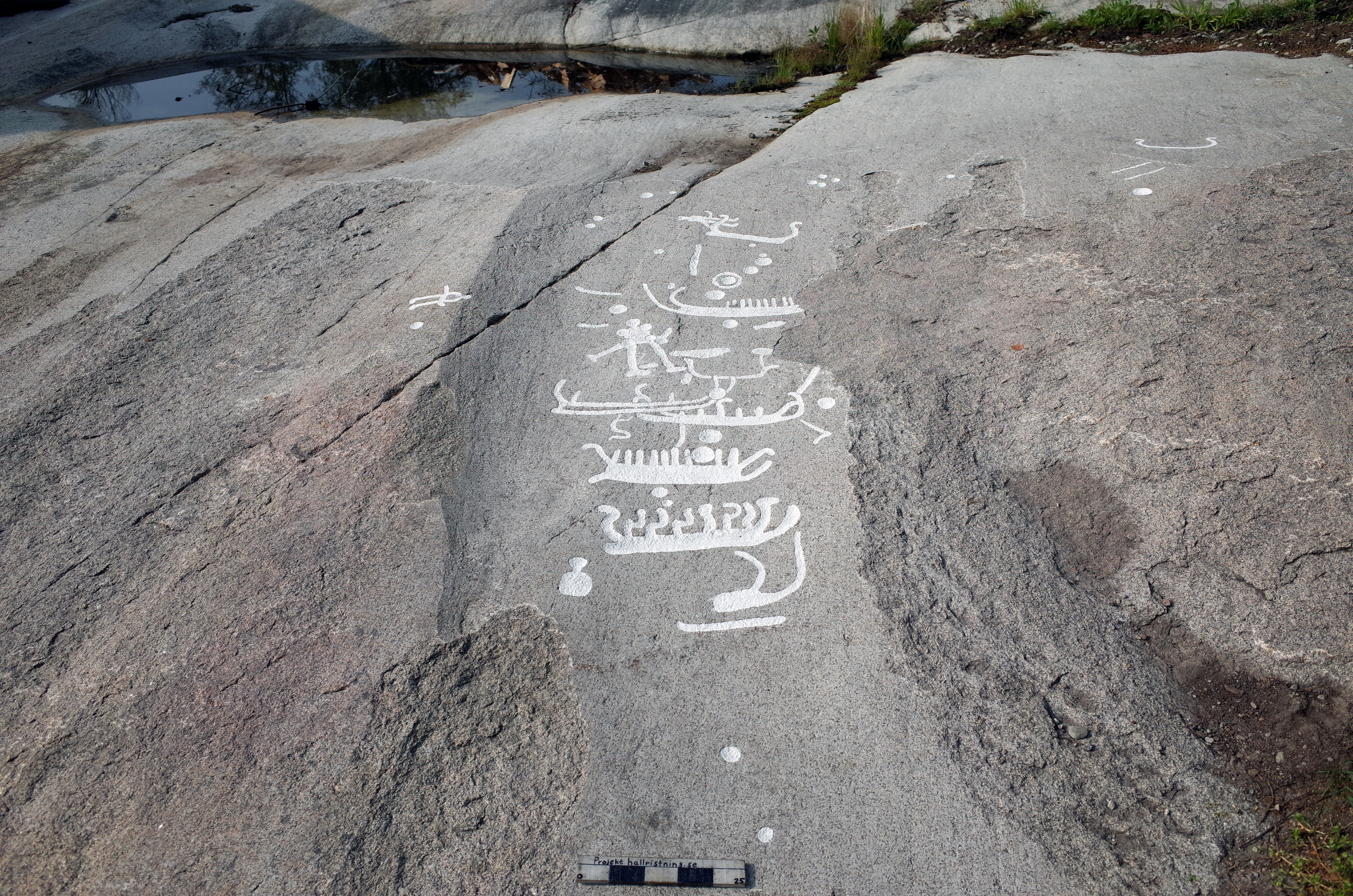 Arendal Hedarna Tanum