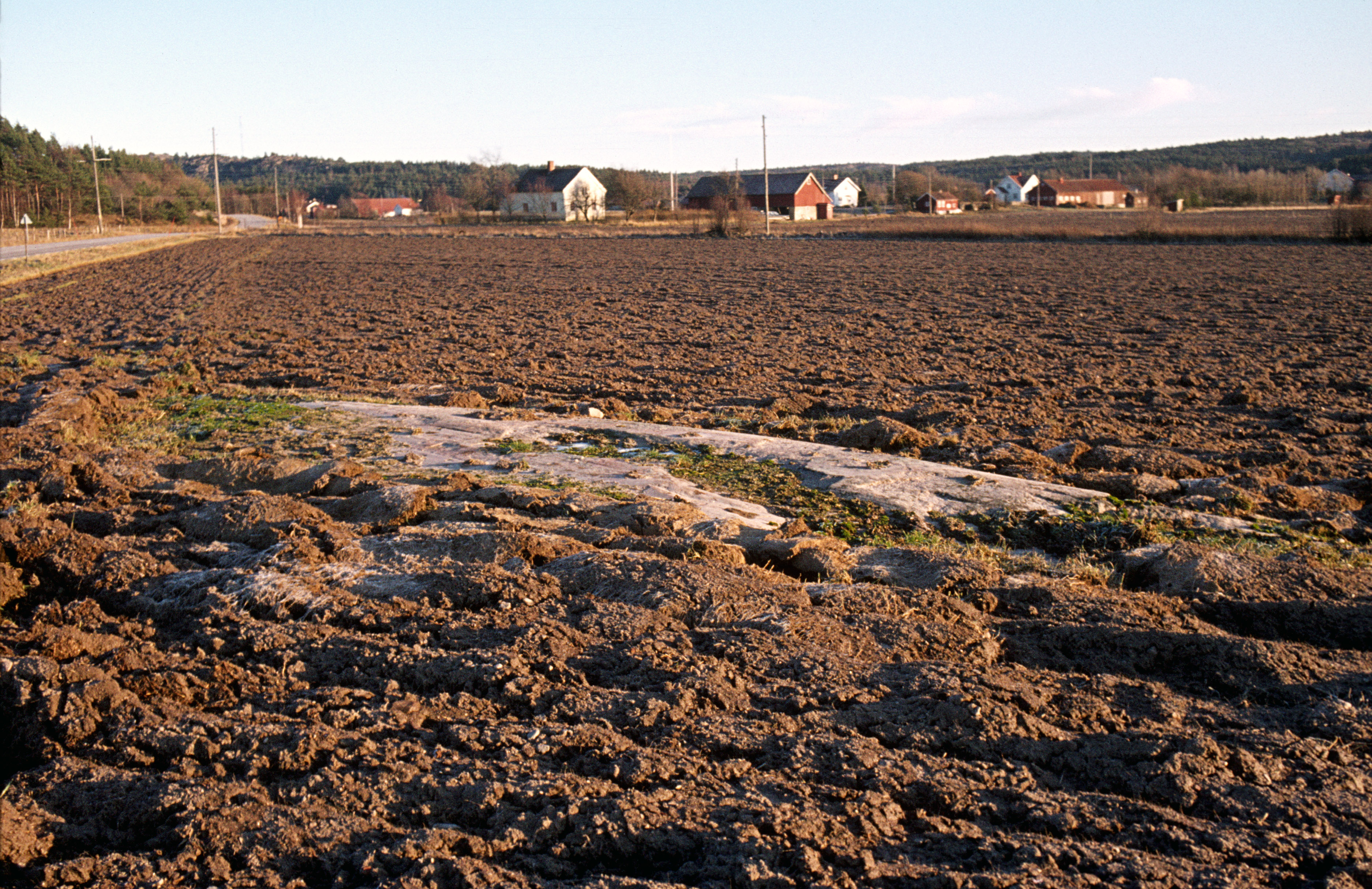 Fossumtorp Tanum