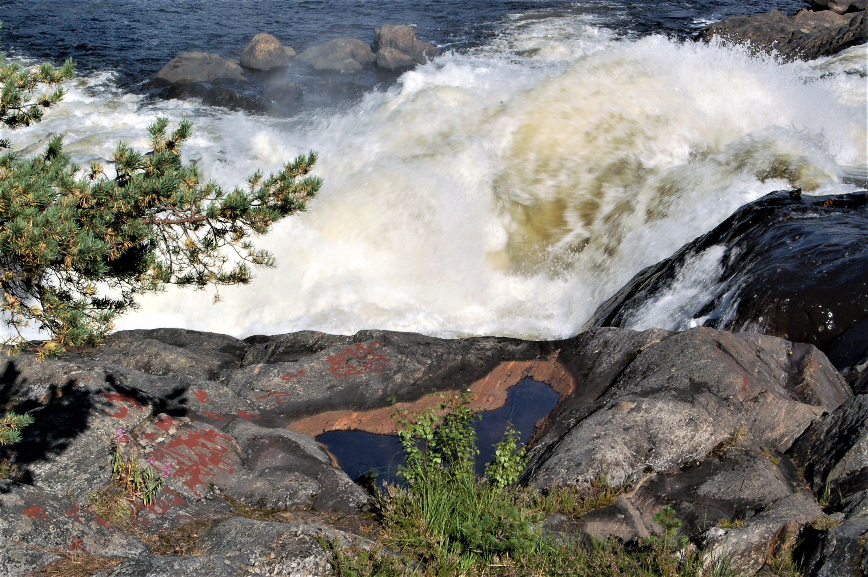 Nämforsen Laxön