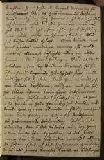 Image page 13 in Pastor Heinr. Georg Gerner