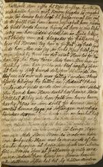 Image page 04 in Maria Johannis