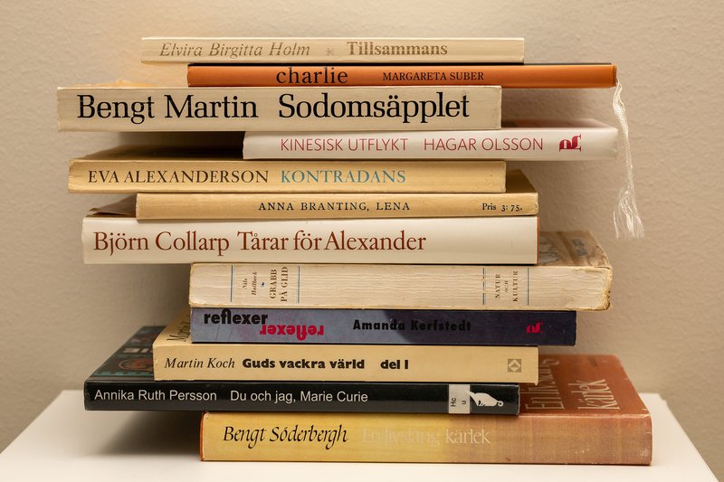 Queerlit Klassiker 1