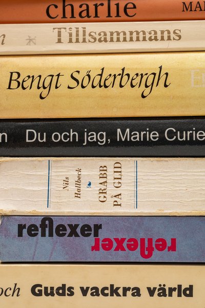 Queerlit Klassiker 6