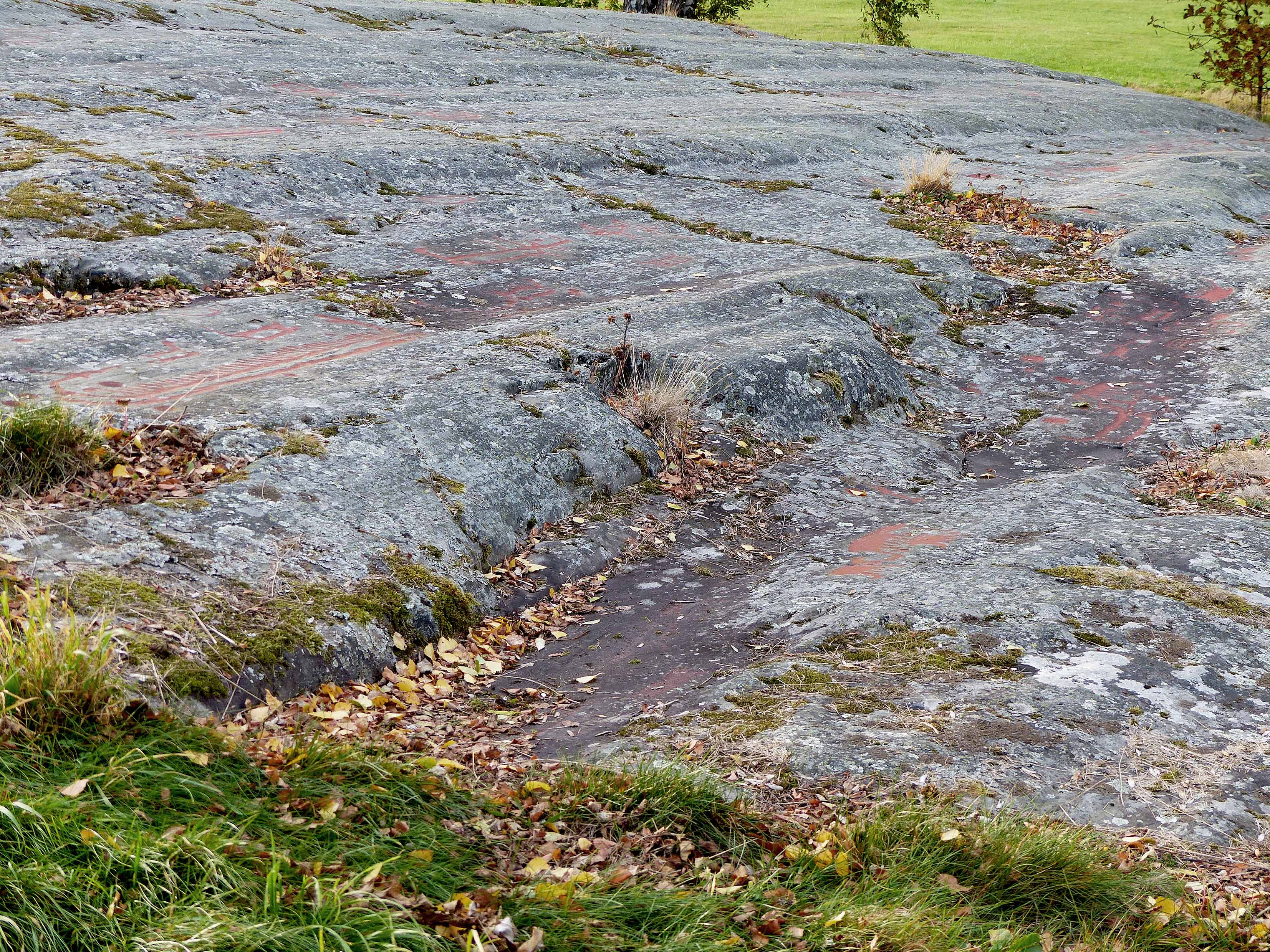 Ospecificerad skepp, Ospecificerat djur, Detalj, Målad, Hällristningsmiljö, Skålgropar älvkvarnar