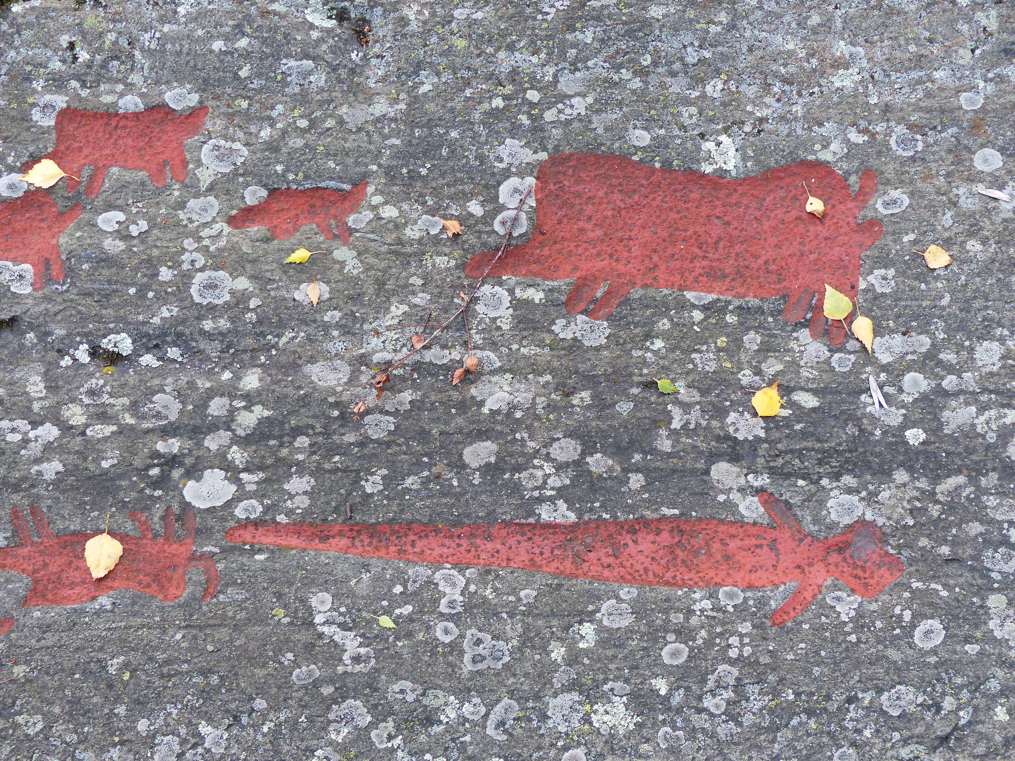 Ospecificerat djur, Svin, Ospecificerat vapen, Svärd, Detalj, Målad