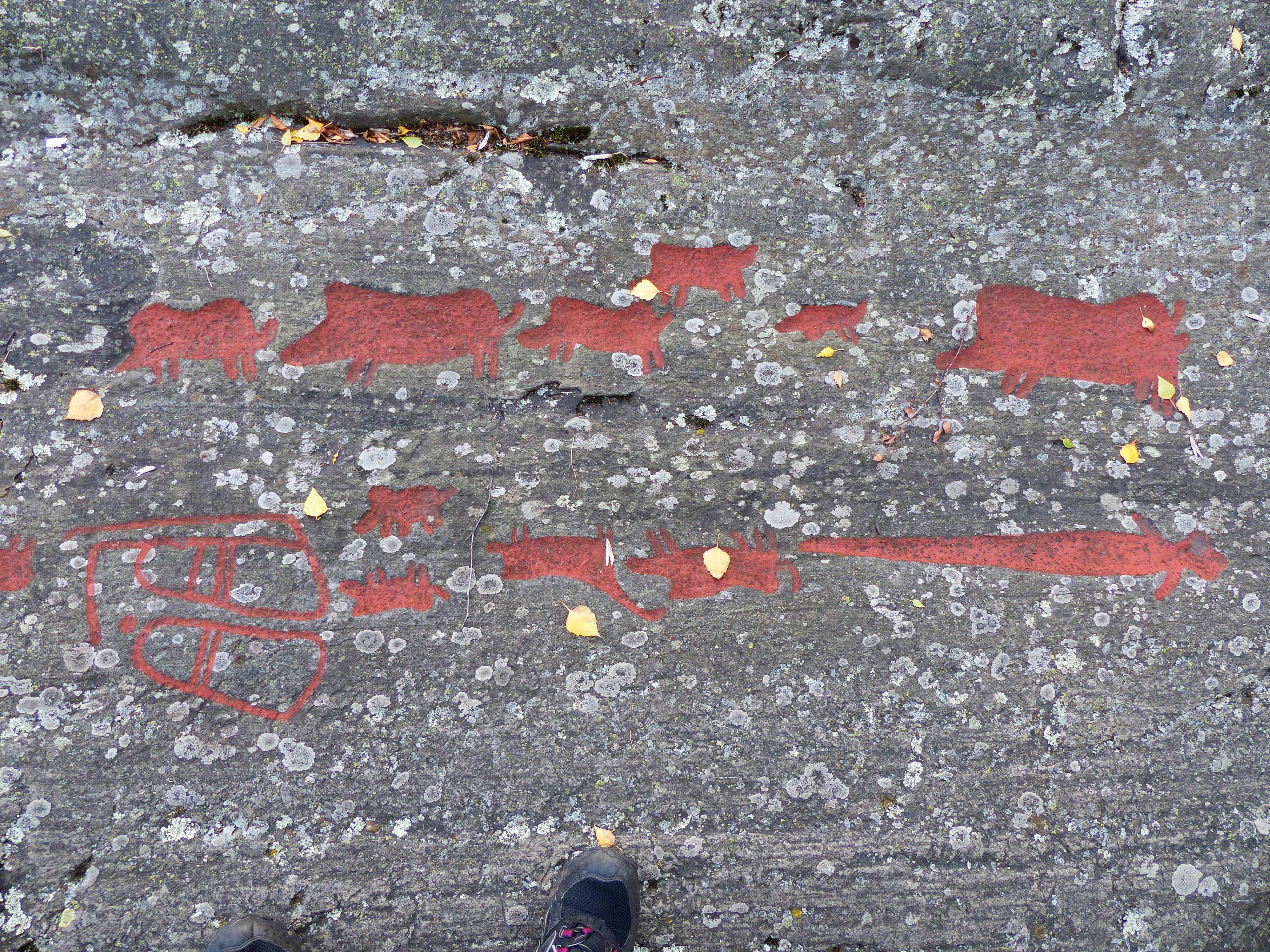 Ospecificerat djur, Svin, Svärd, Detalj, Målad, Fotsula, Skålgropar älvkvarnar