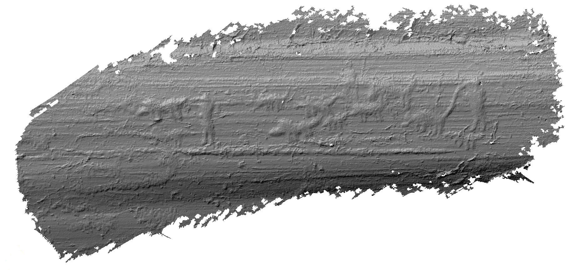 Ospecificerat djur, Svin, Ospecificerad människa