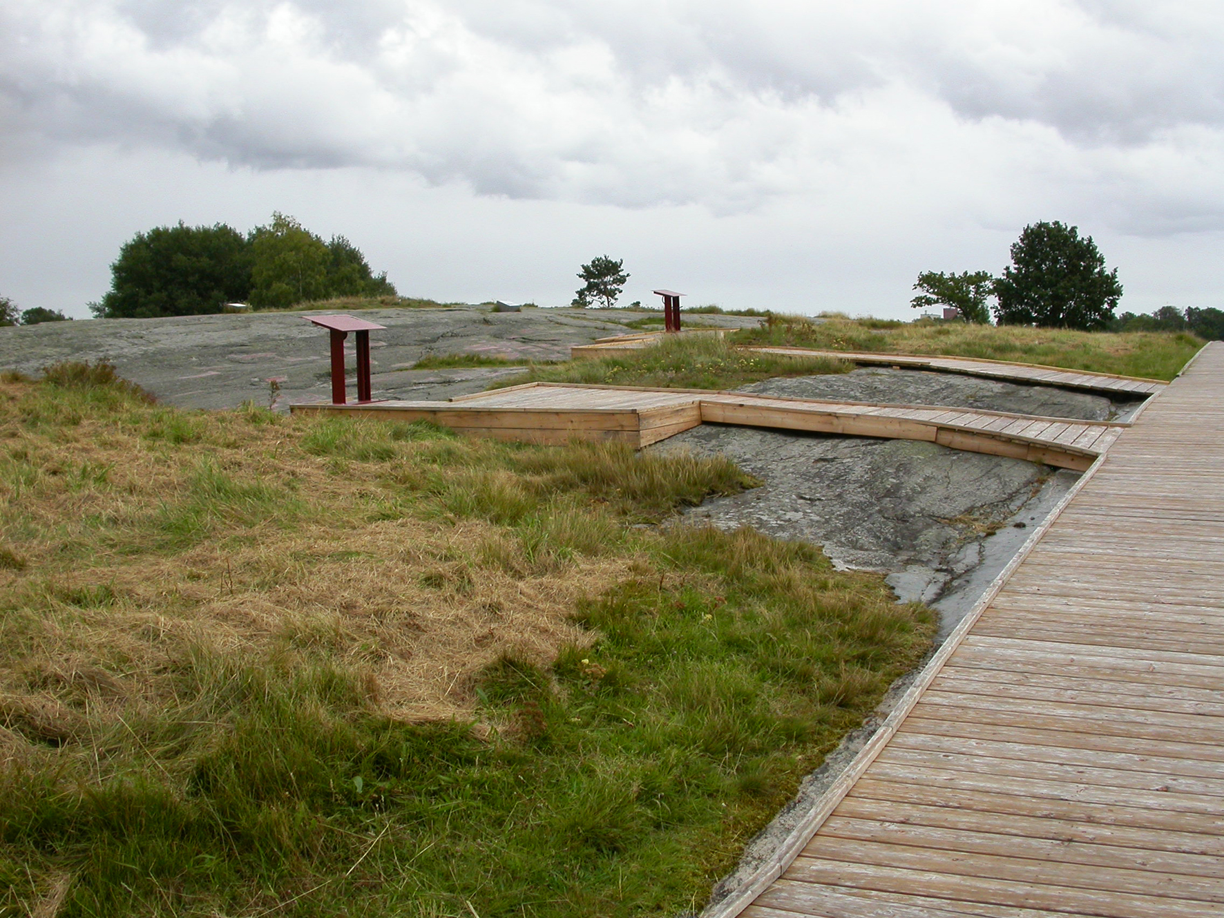 Hällristningsmiljö, Ristningsytan hela