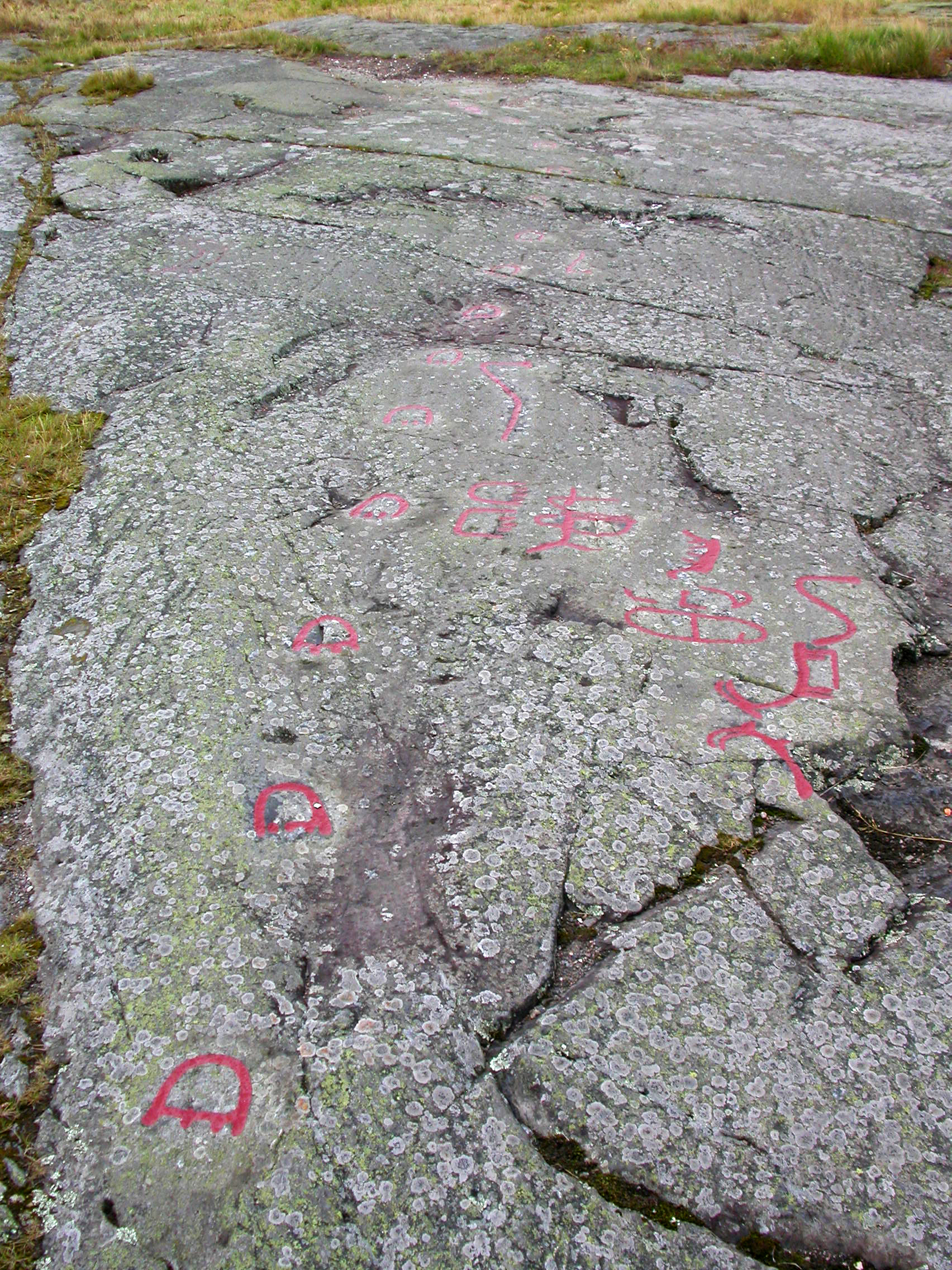 Ospecificerad skepp, Ospecificerat djur, Spårstämpel, Detalj, Målad, Hällristningsmiljö, Fotsula