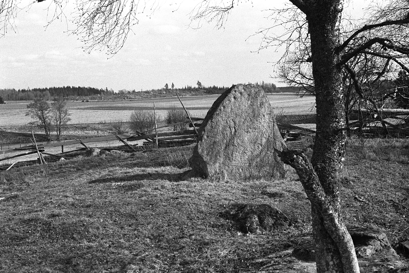 Ristning på block, Landskapet, Miljöbild, Runristning, Skålgropar älvkvarnar