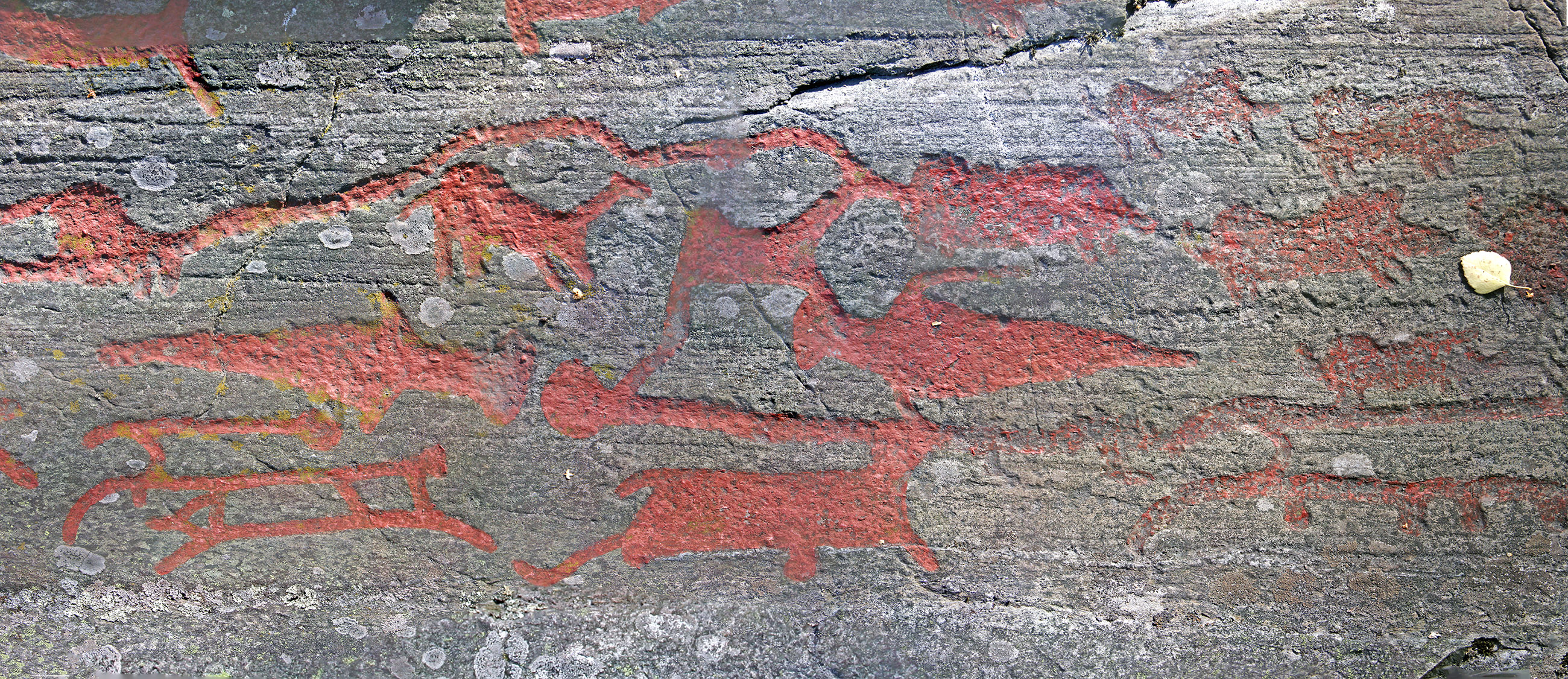 Ospecificerad skepp, Ospecificerat djur, Svin, Svärd