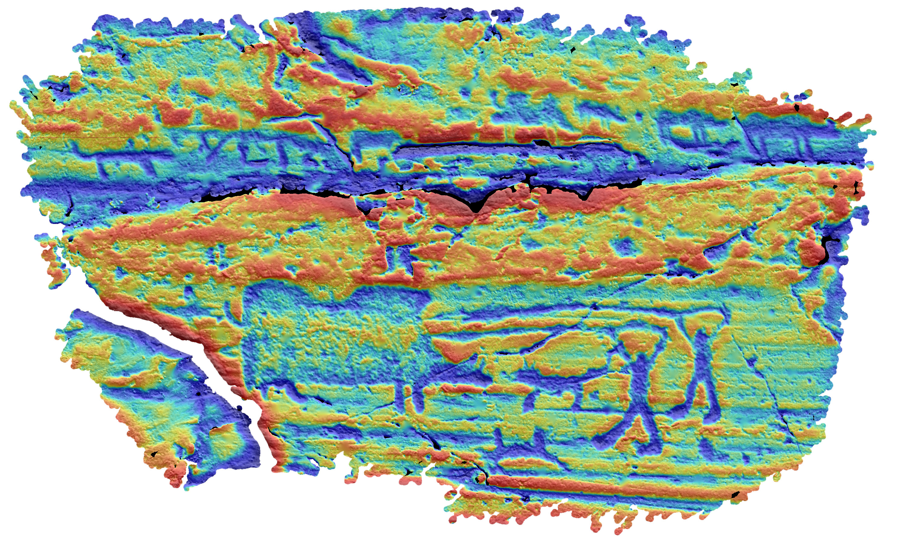 Ospecificerat djur, Svin, Ospecificerad människa, Spjutbärare, Hunddjur (Familj Canidae)
