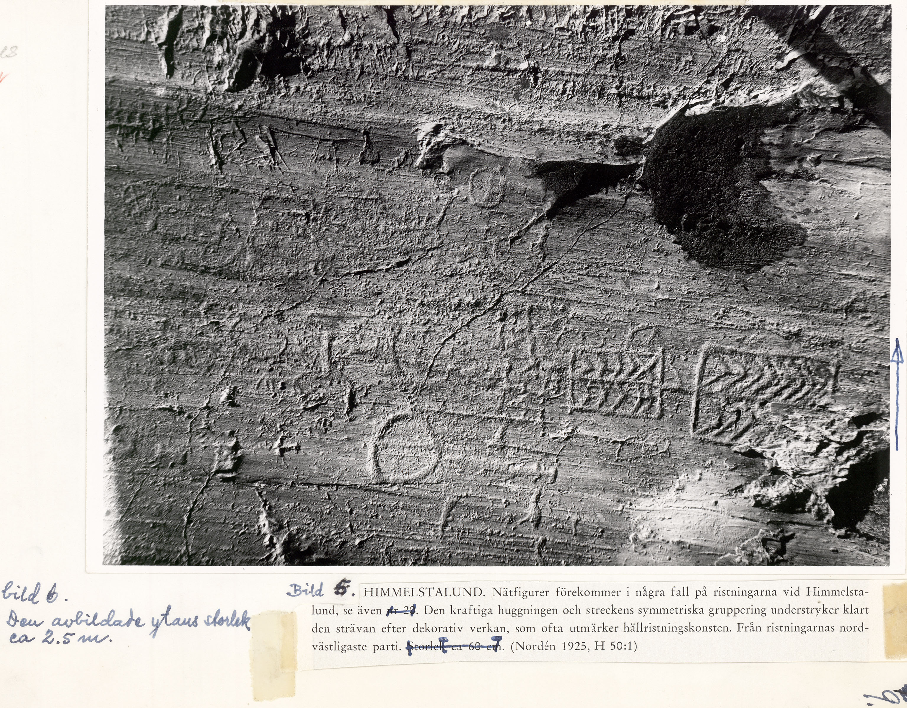 Ospecificerad skepp, Ospecificerat djur, Detalj, Cirkel, Nattfotografering, Nätfigur, Hjulkors