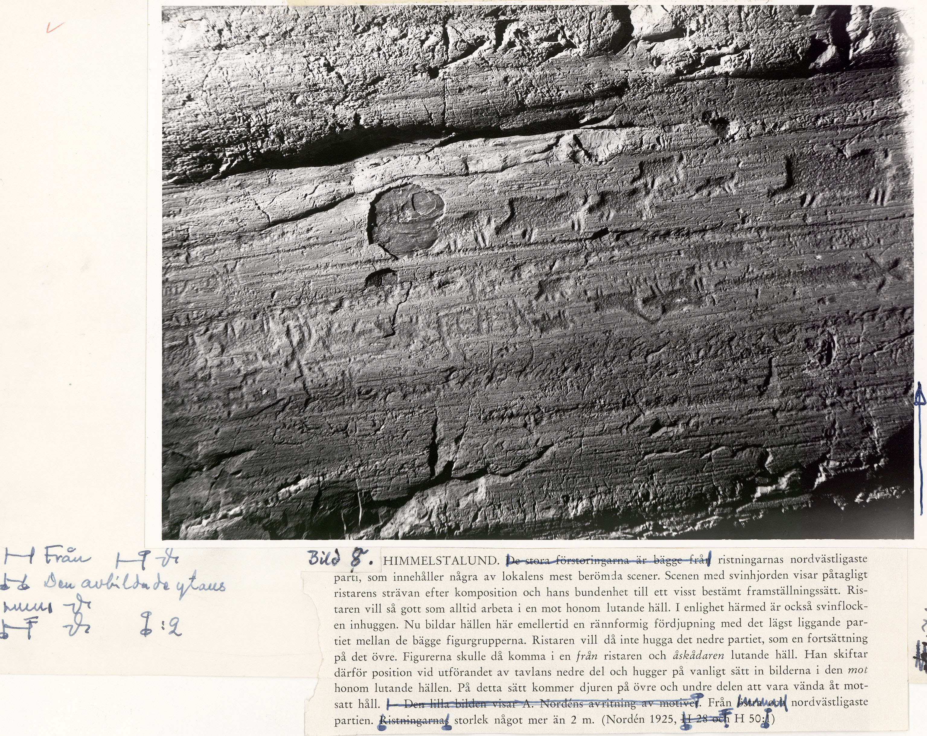 Ospecificerat djur, Svin, Ospecificerat vapen, Svärd, Ospecificerad människa, Detalj, Nattfotografering