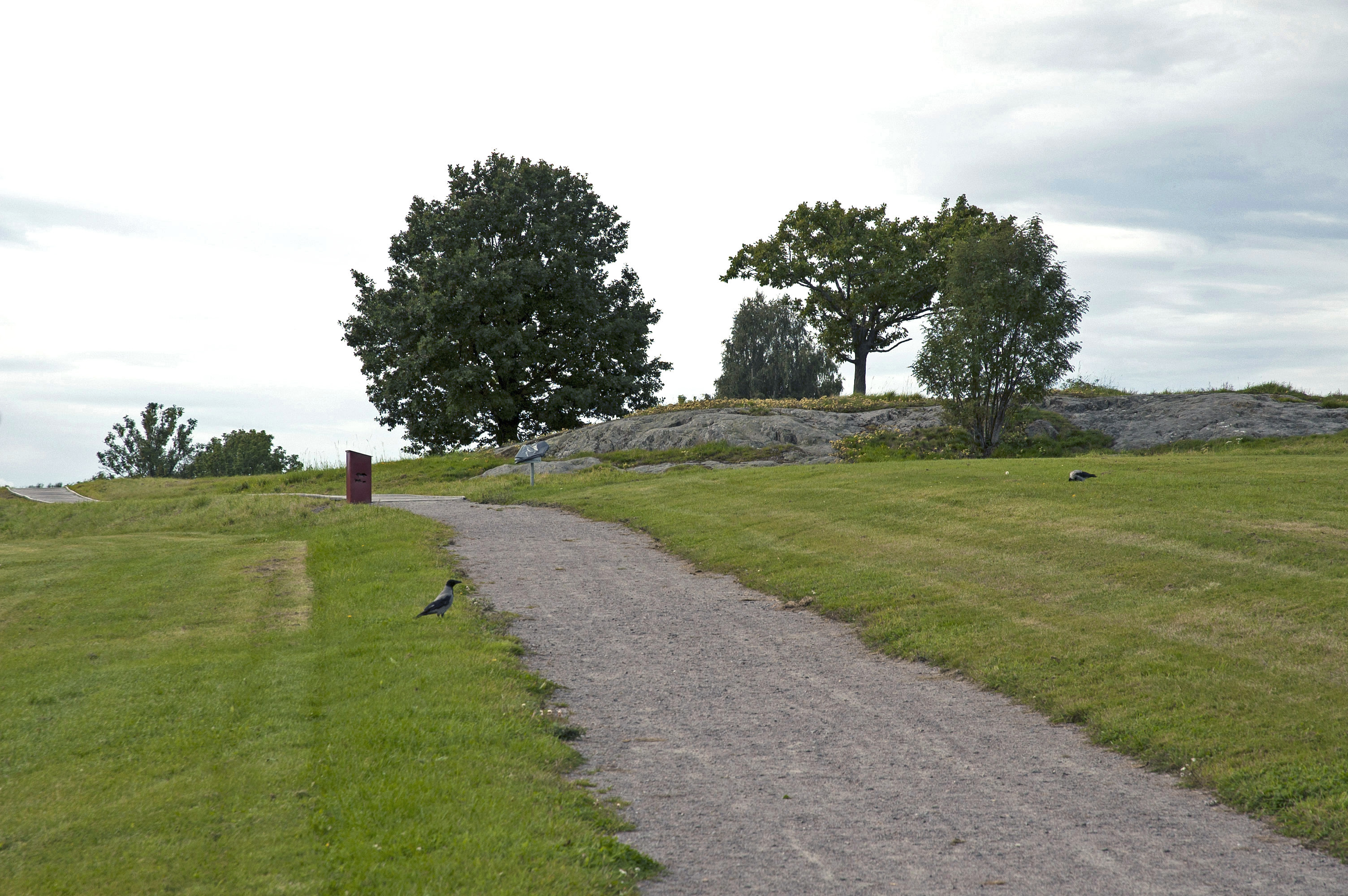 Miljöbild, Hällristningsmiljö