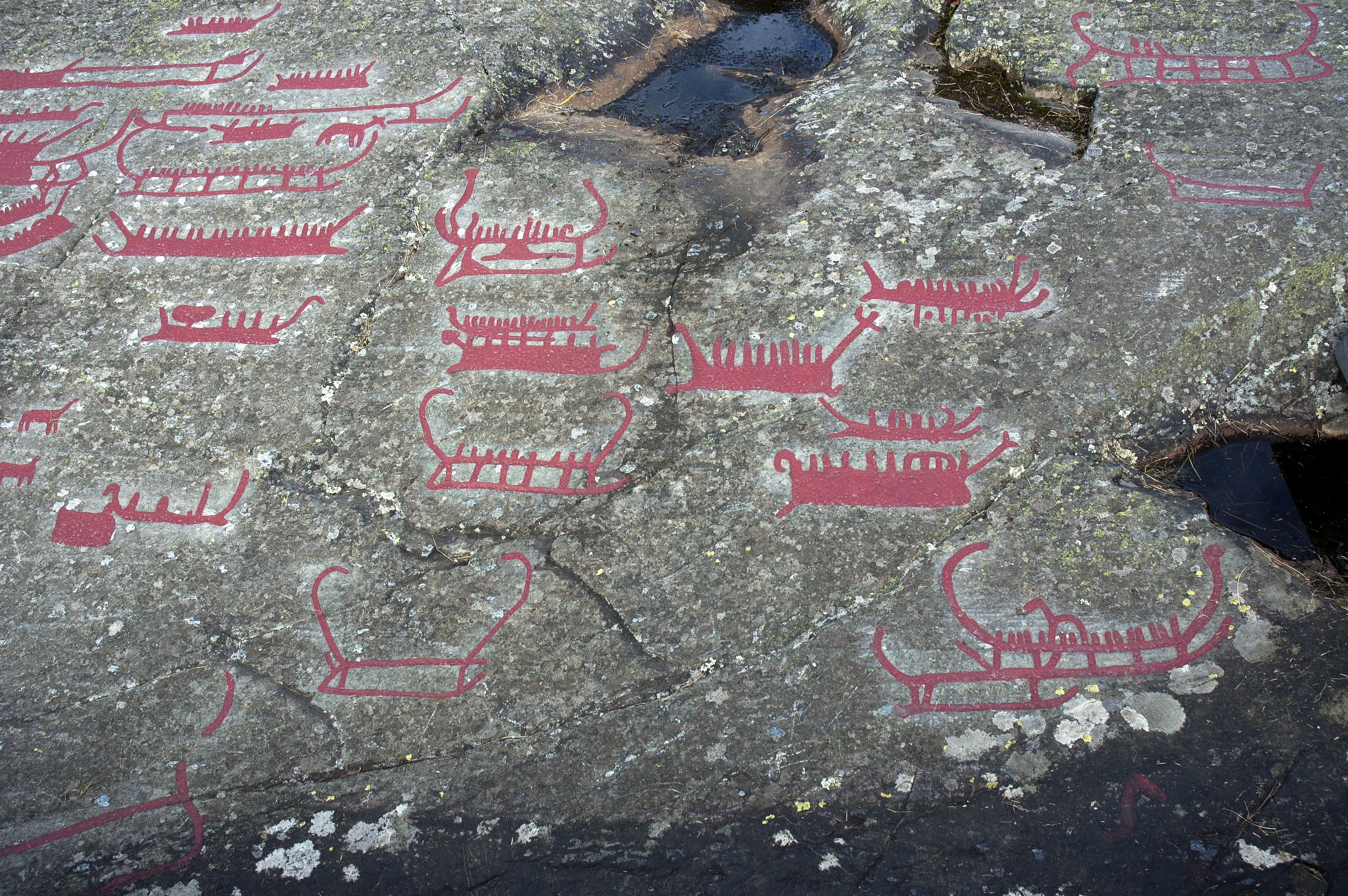 Ospecificerad skepp, Ospecificerat djur, Detalj, Målad