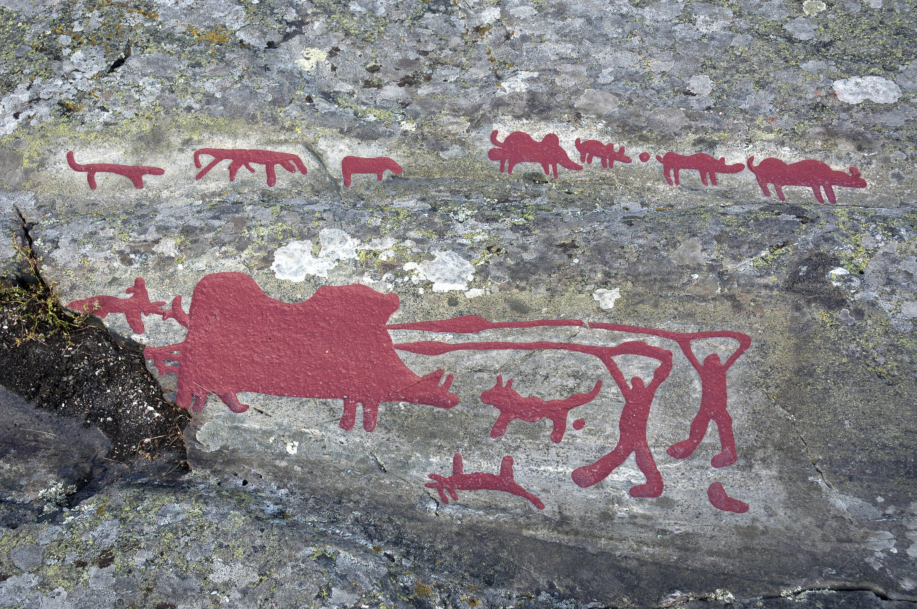 Ospecificerat djur, Svin, Ospecificerad människa, Spjutbärare, Detalj, Målad, Skålgropar älvkvarnar