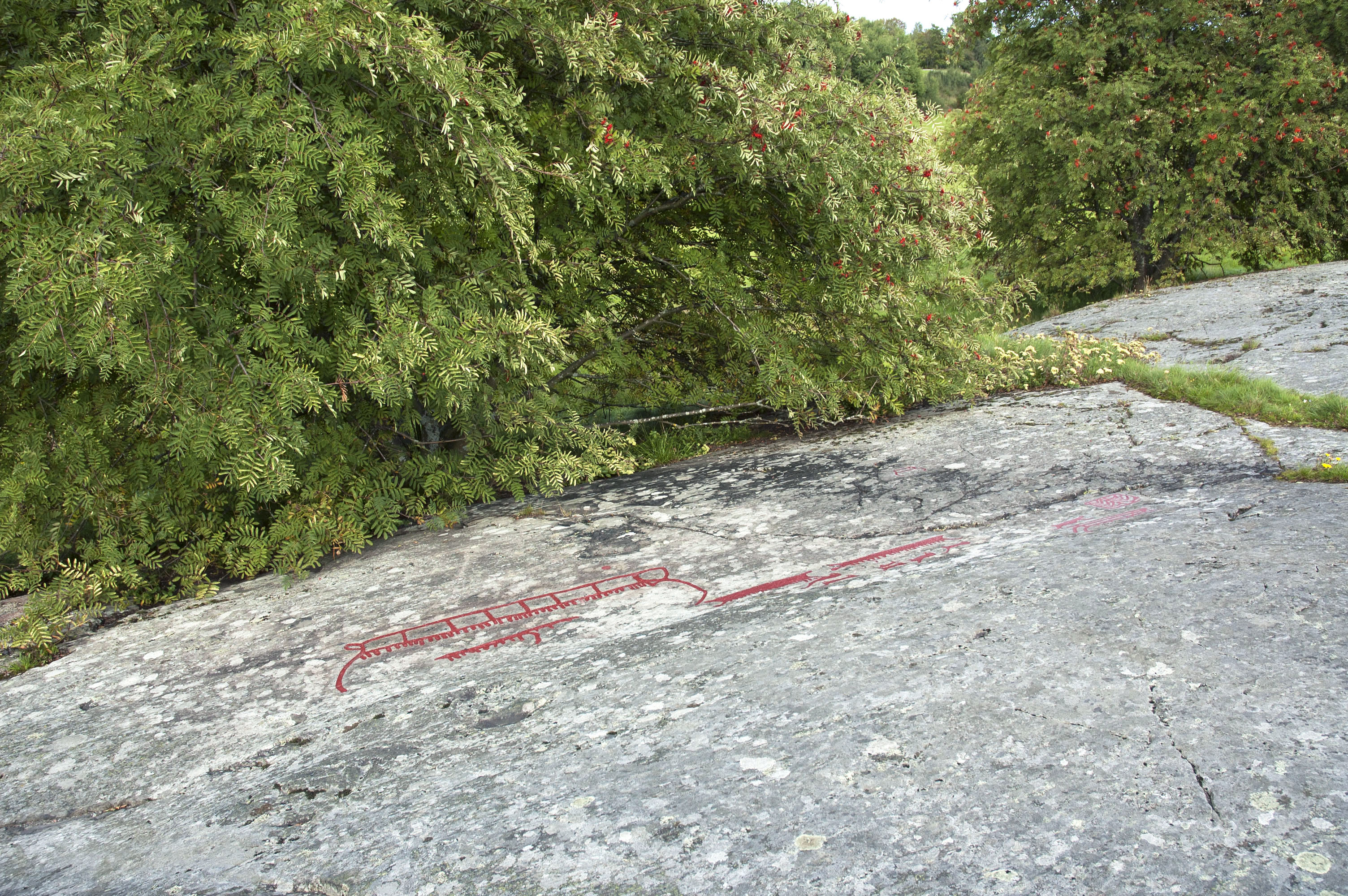Ospecificerad skepp, Ospecificerat djur, Detalj, Målad, Hällristningsmiljö, Skålgropar älvkvarnar, Nätfigur
