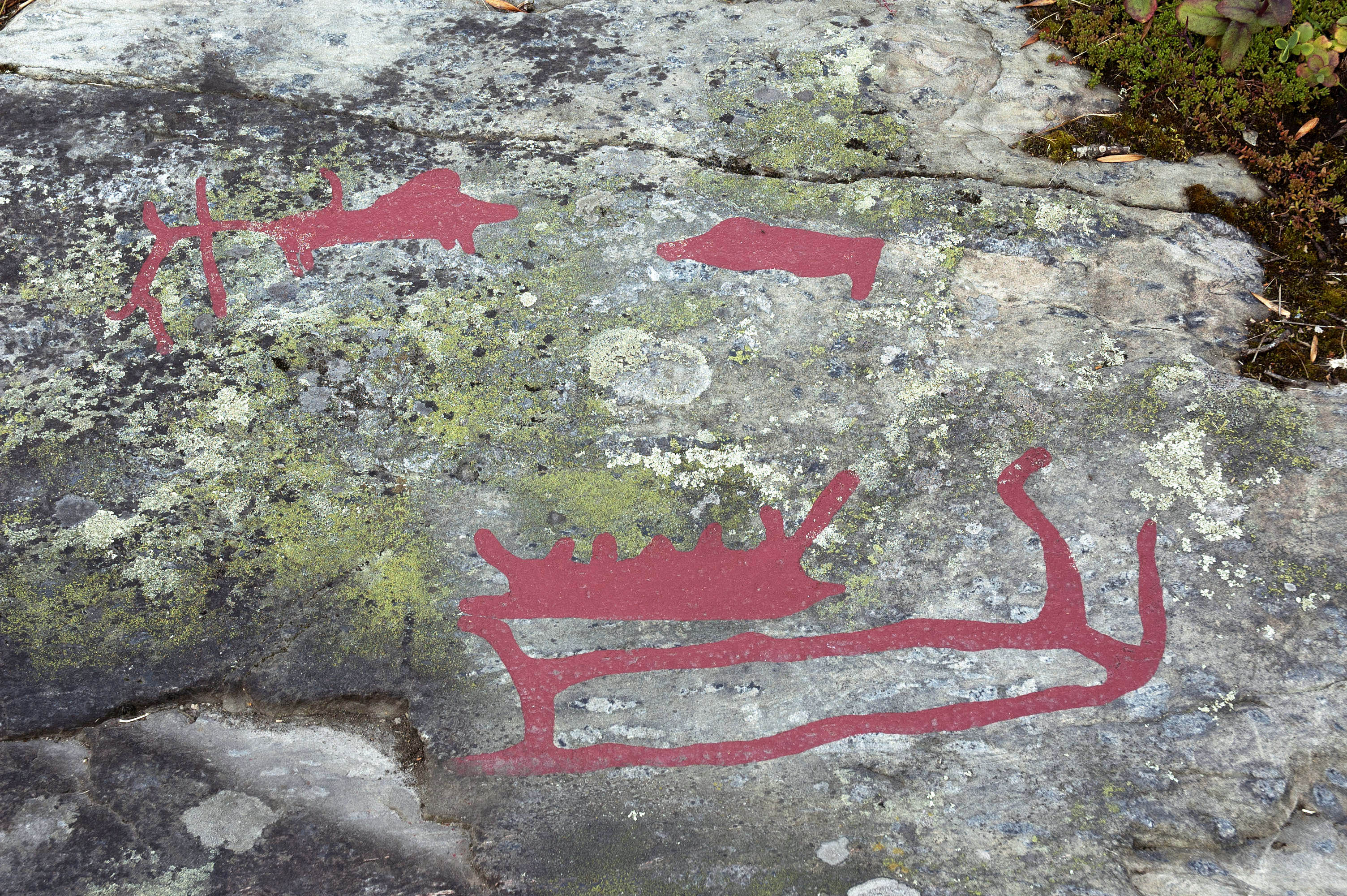 Ospecificerad skepp, Ospecificerat djur, Svin, Ospecificerad människa, Detalj, Målad