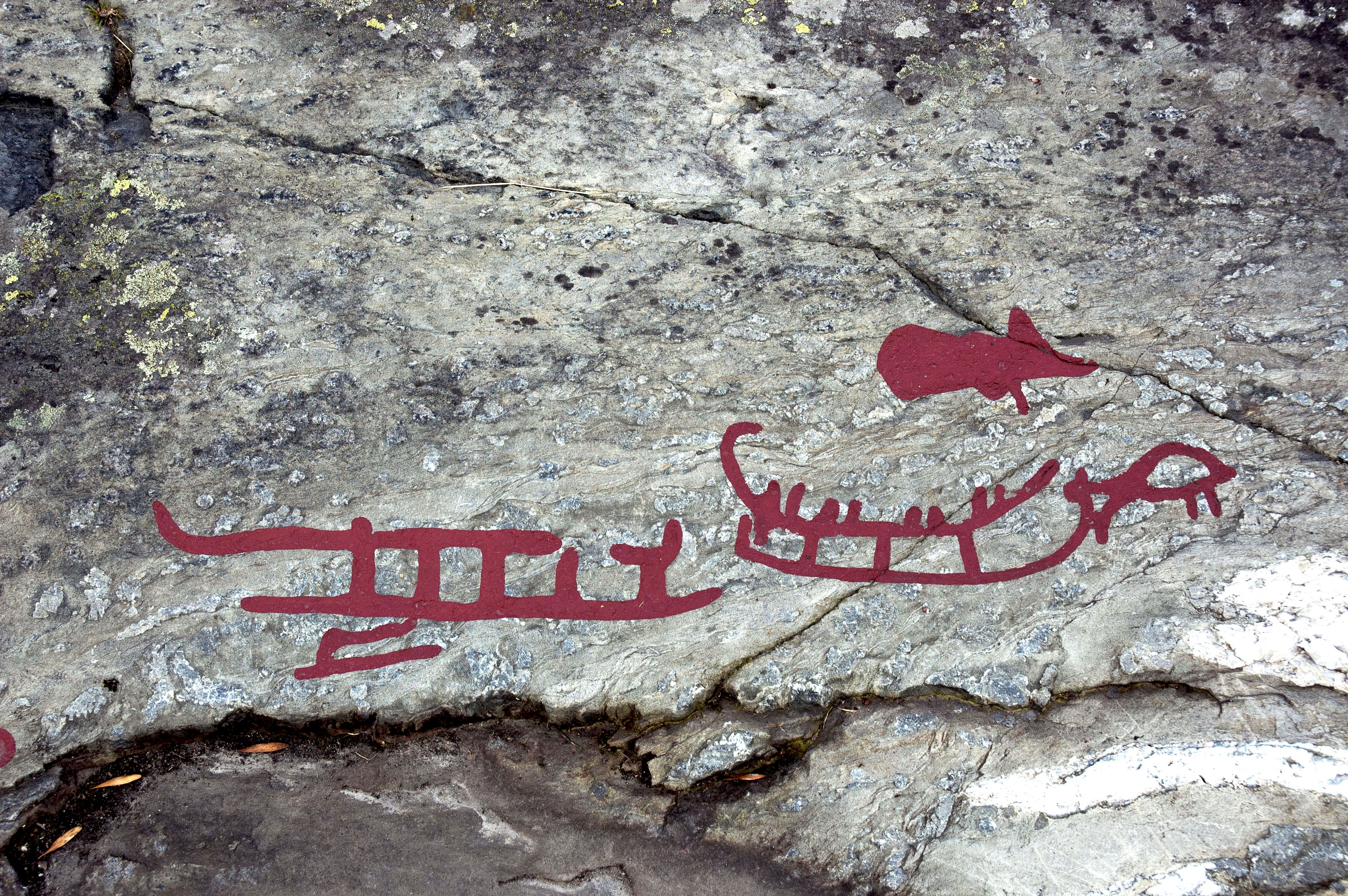 Ospecificerad skepp, Ospecificerat djur, Svin, Detalj, Målad