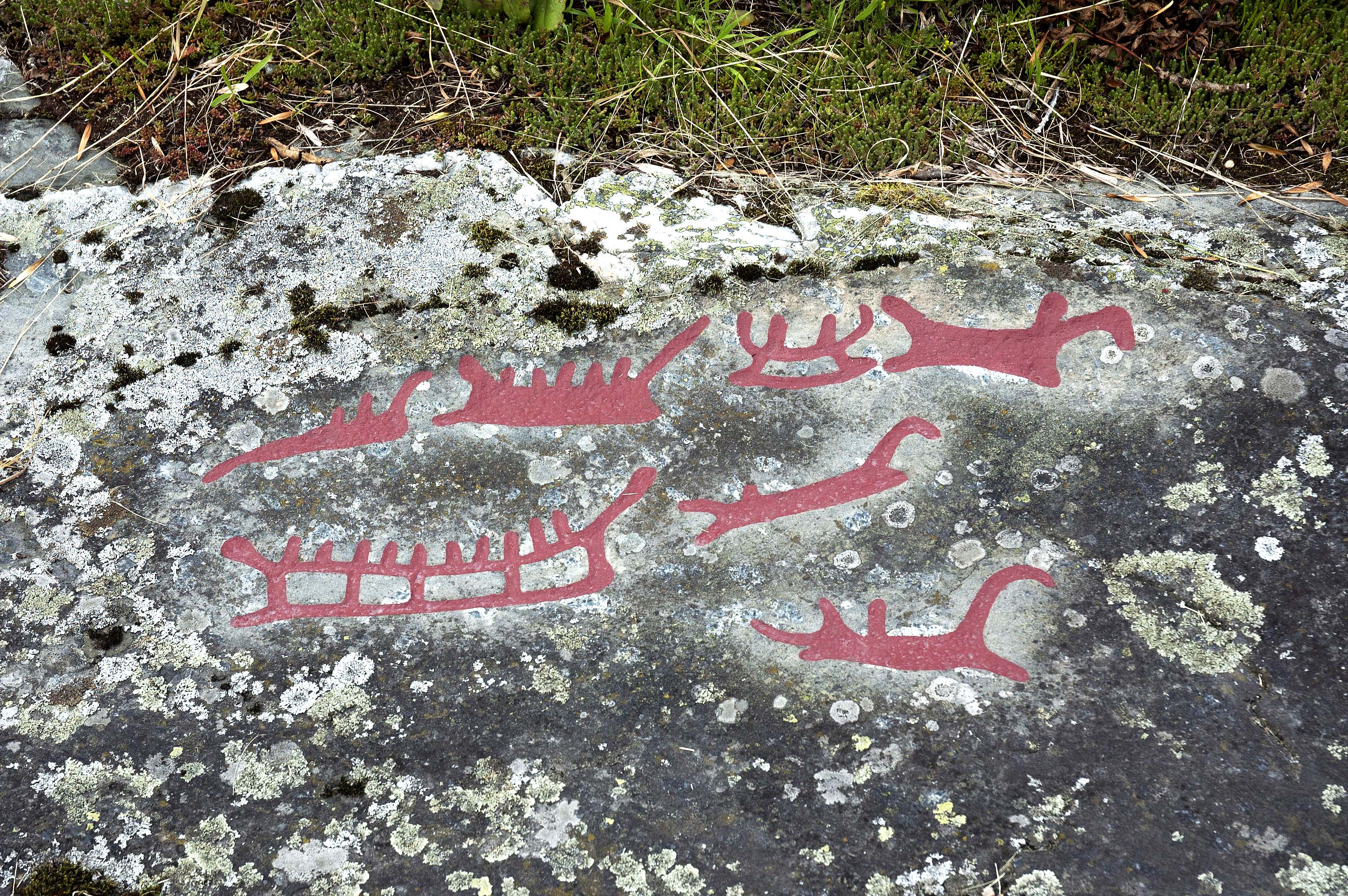 Ospecificerad skepp, Detalj, Målad