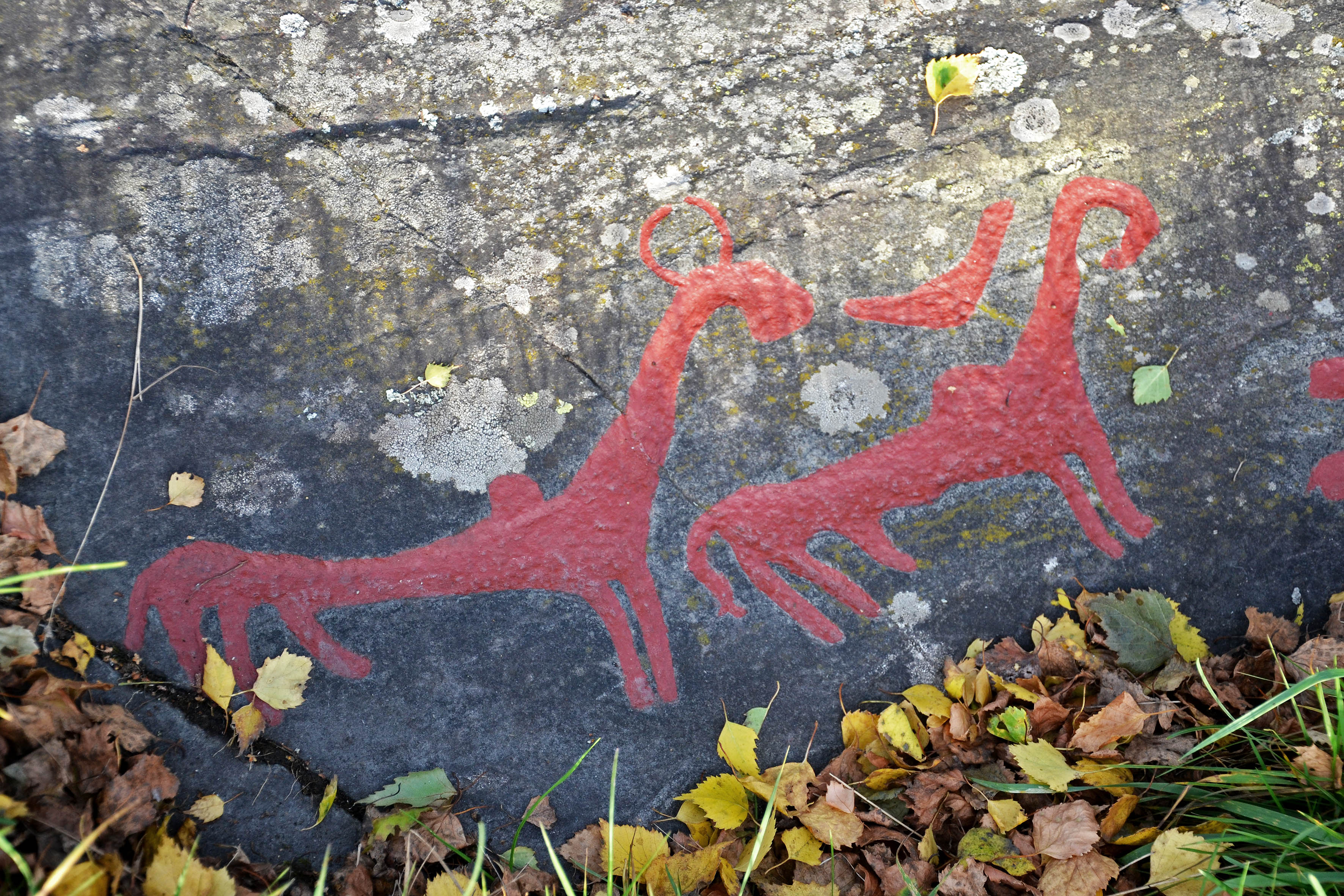 Ospecificerat djur, Detalj, Målad