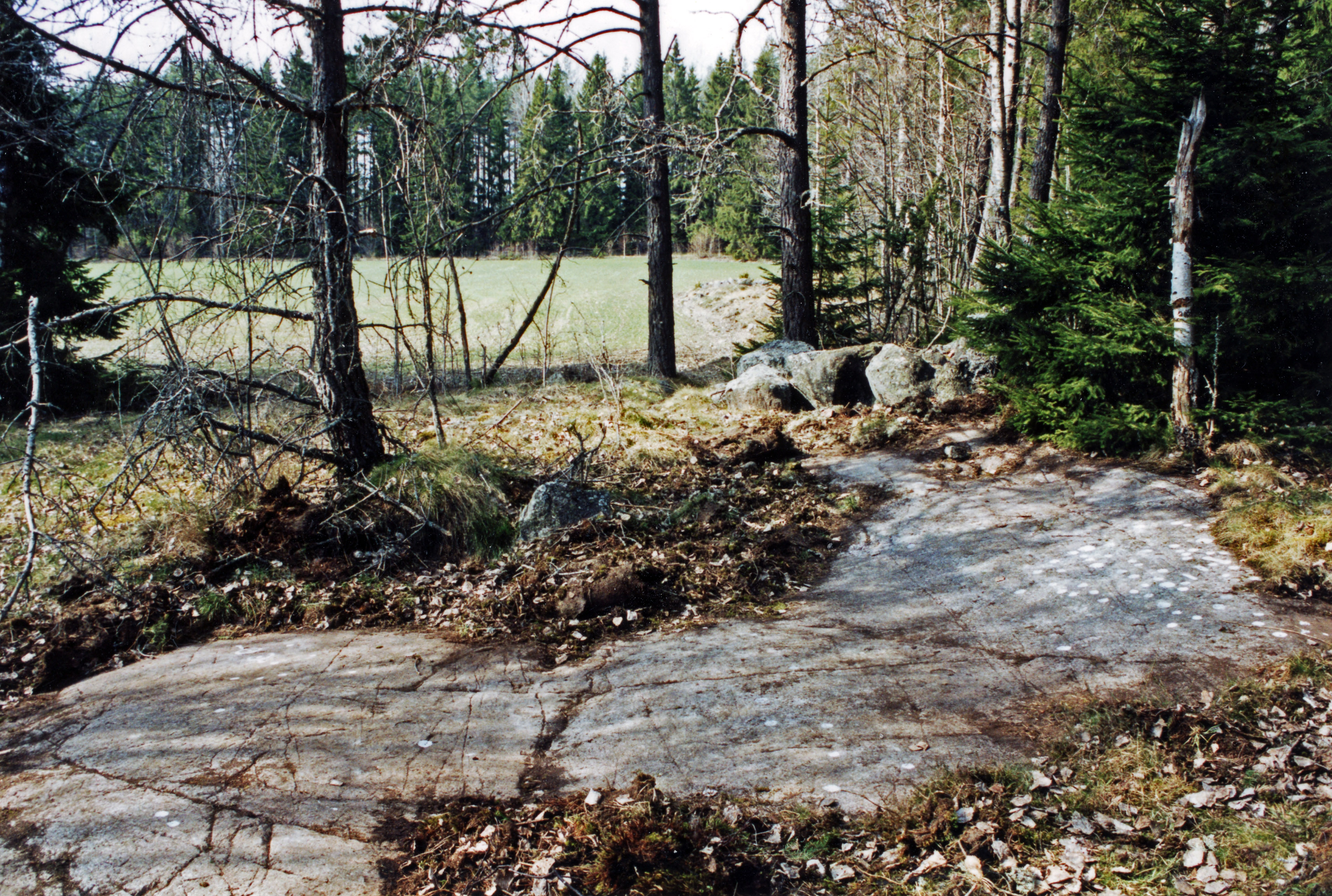 Hällristningsmiljö, Cirkel, Skålgropar älvkvarnar