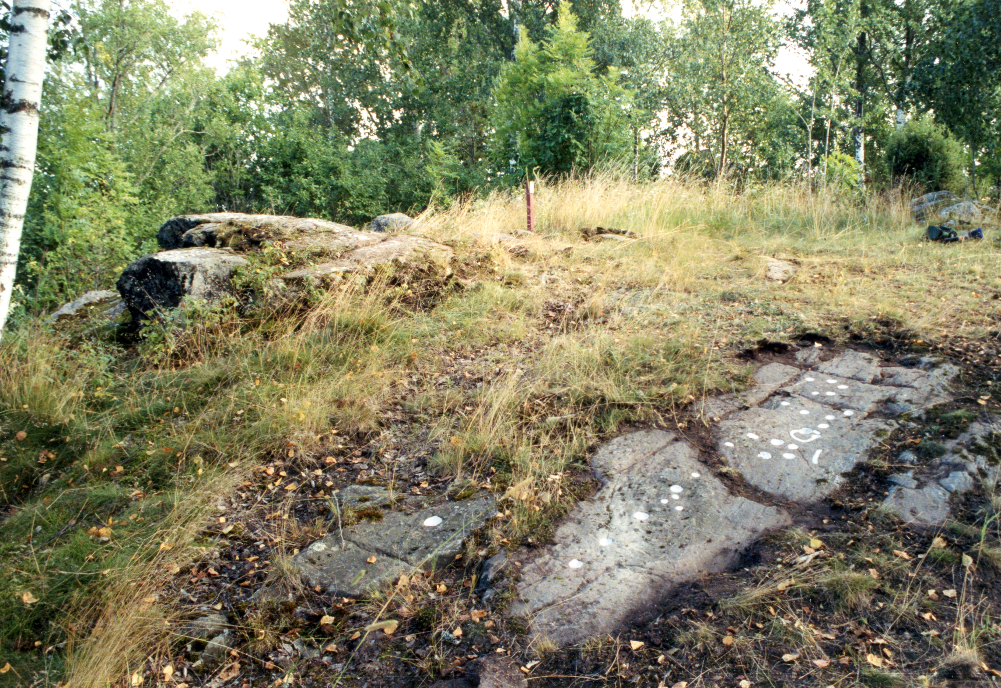 Hällristningsmiljö, Skålgropar älvkvarnar, Cirkel